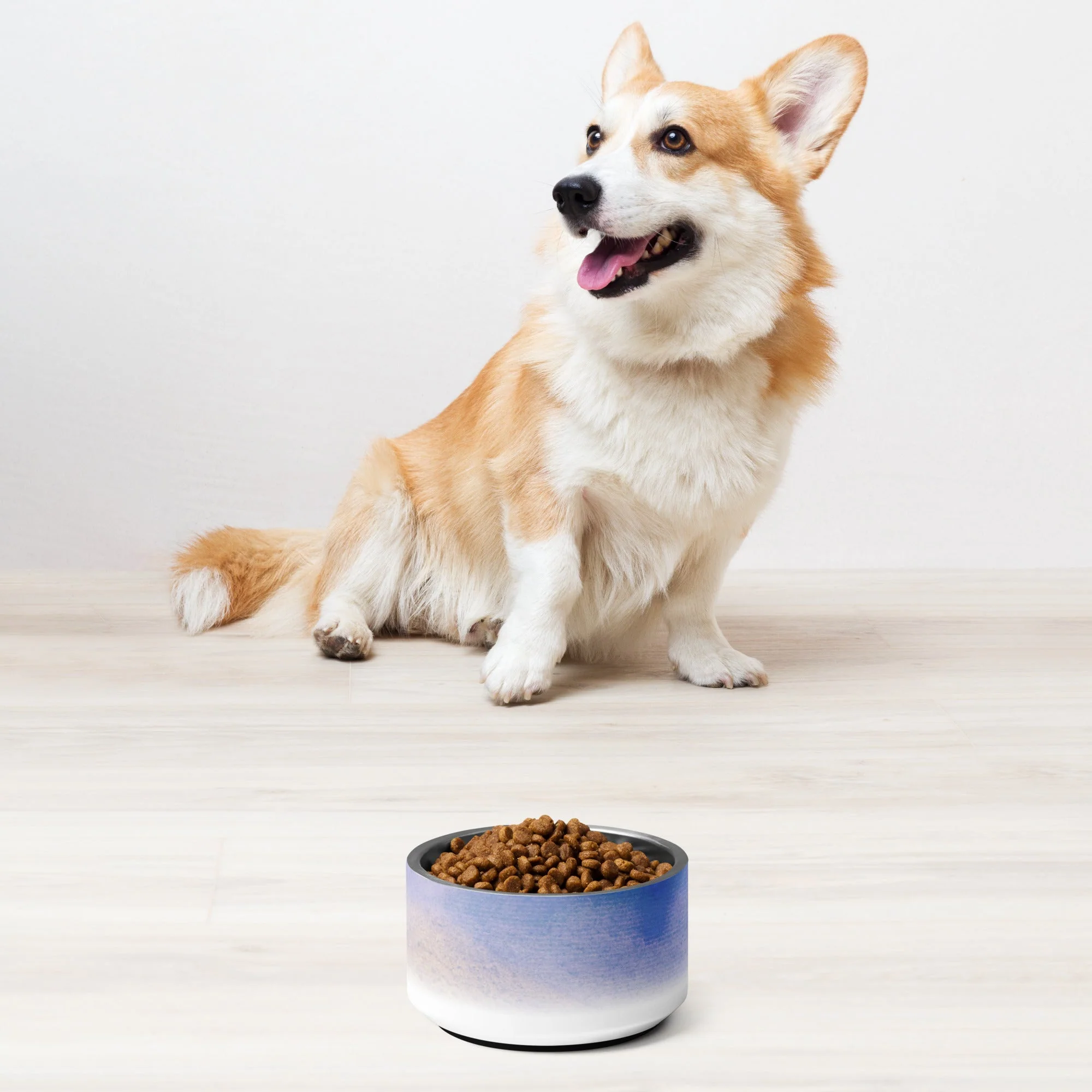 Sebastian & Clementine Vintage Collection Pet Bowl - Image 2