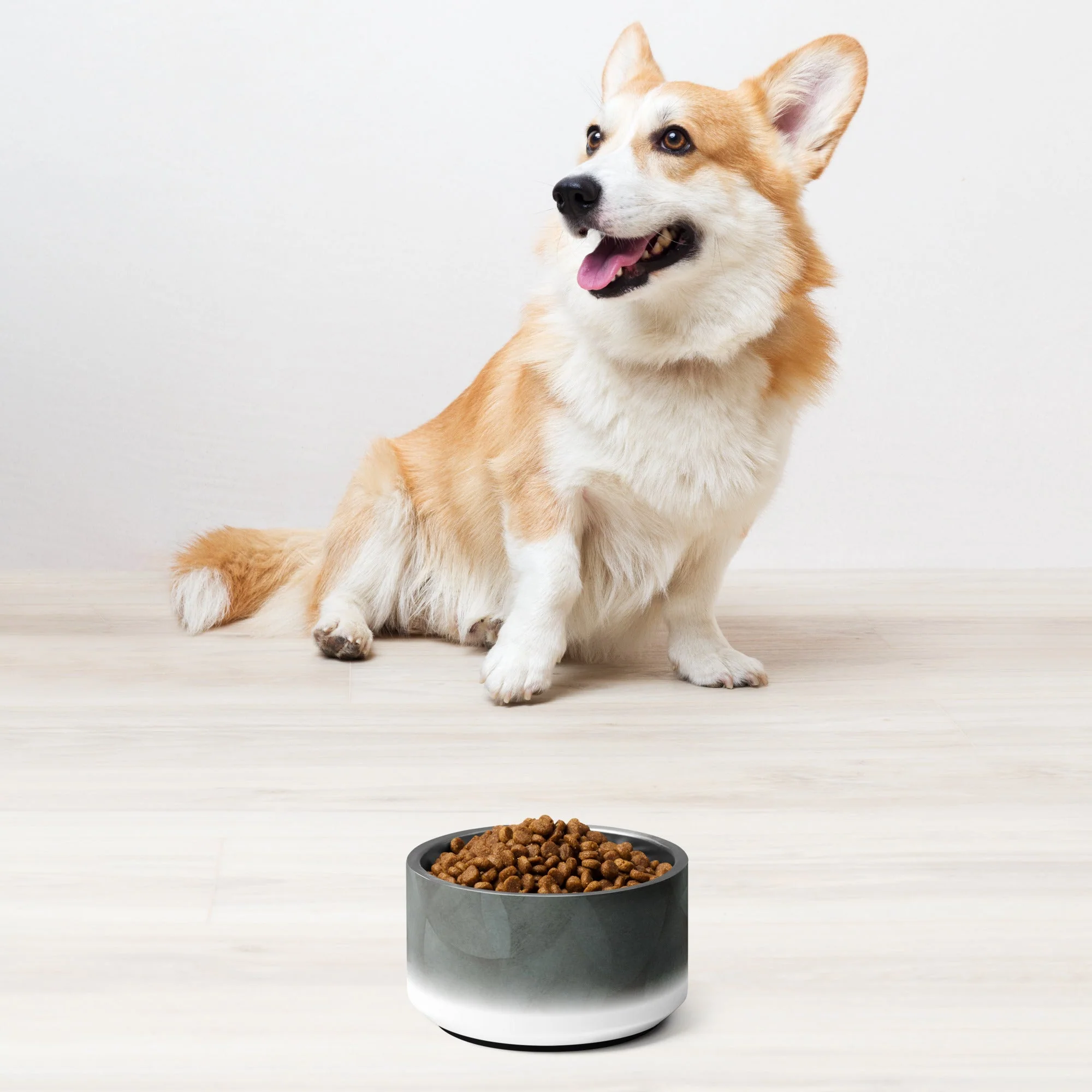 Sebastian & Clementine Vintage Collection Pet Bowl - Image 2