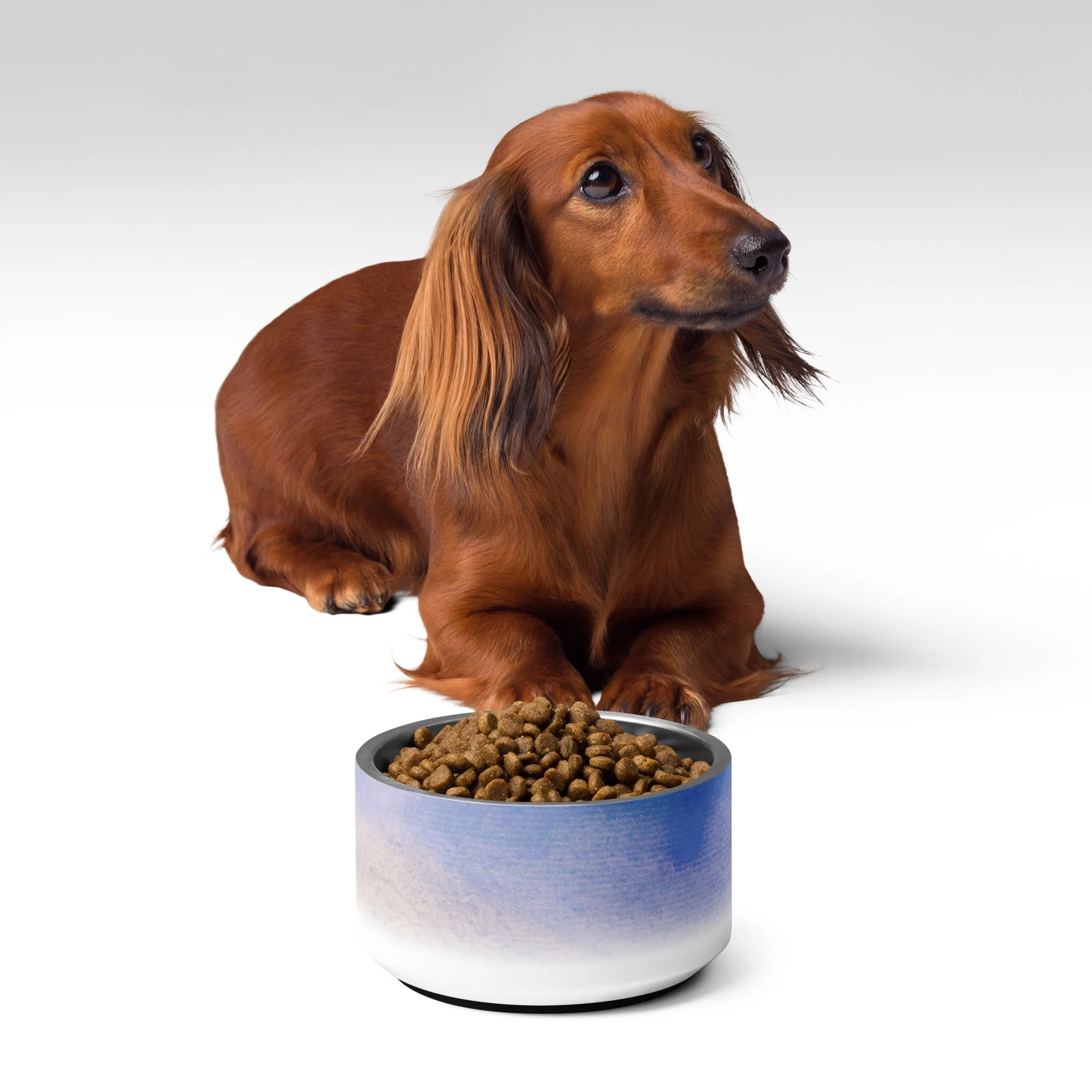 Sebastian & Clementine Vintage Collection Pet Bowl - Image 3