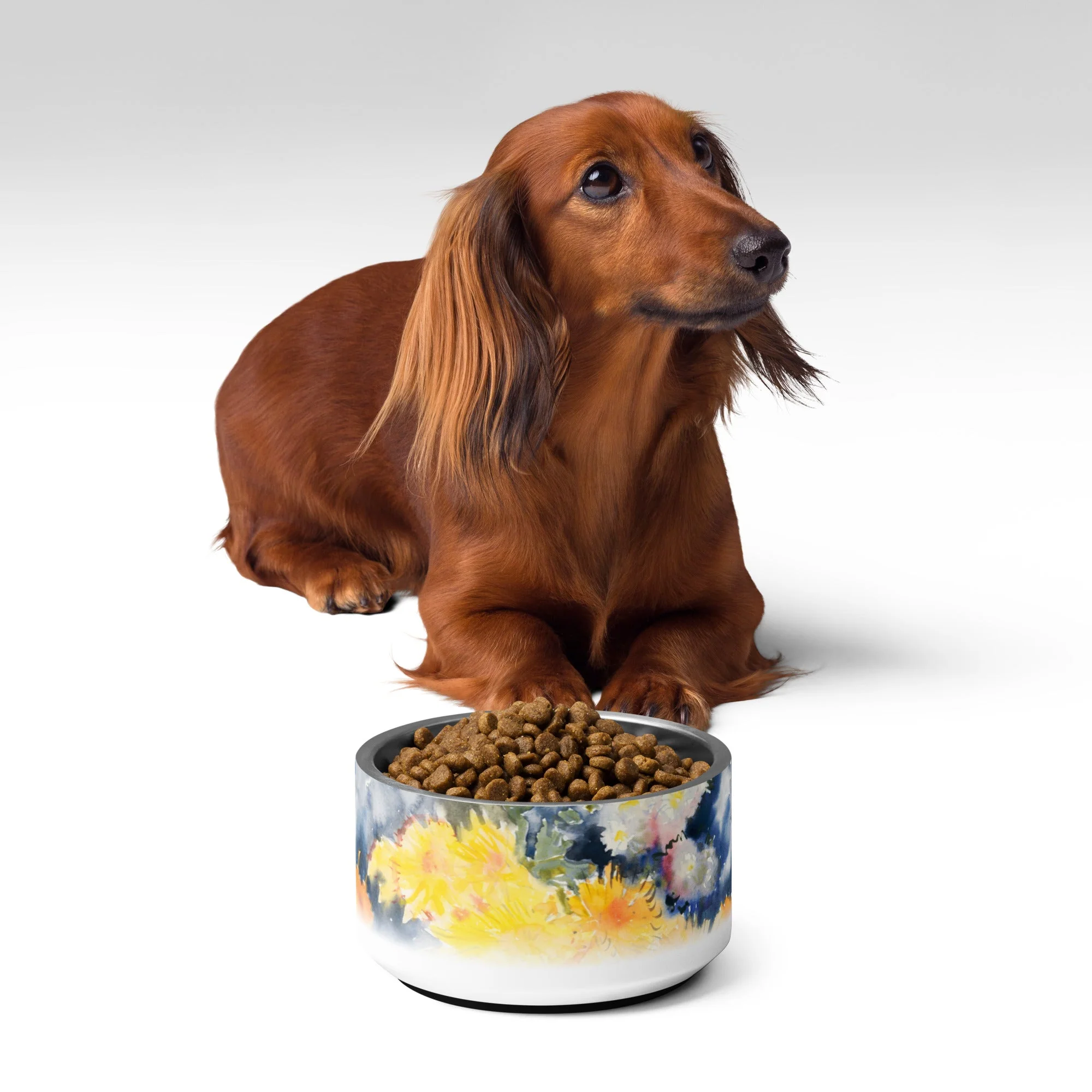 Sebastian & Clementine Yellow and Blue Vintage Collection Pet Bowl - Image 2