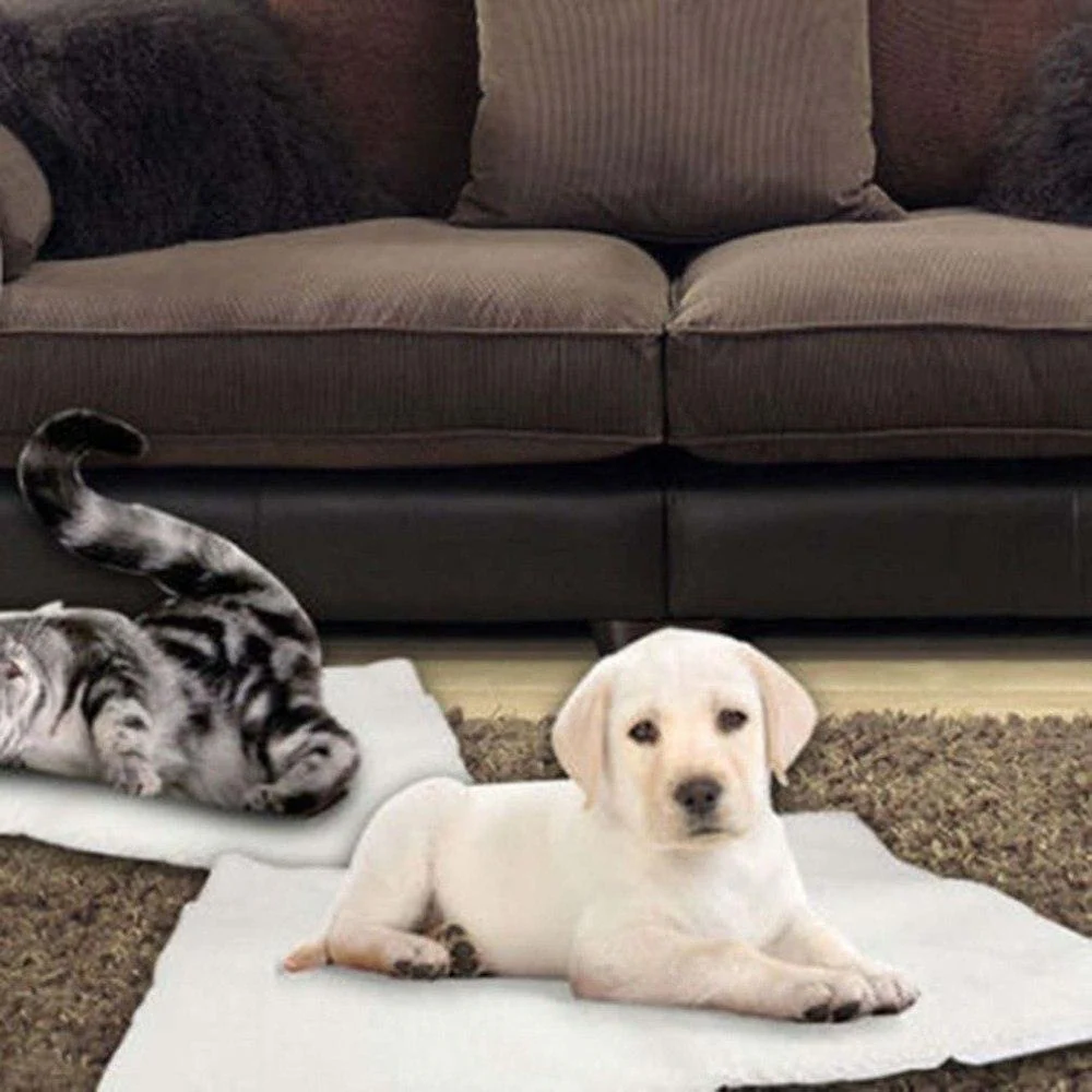Self Heating Super Soft Pet Blanket - Image 2