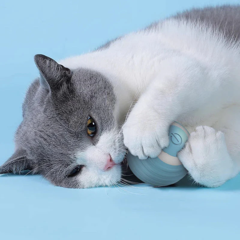 Self-Moving Smart Electric Cat Ball Toy - Image 2