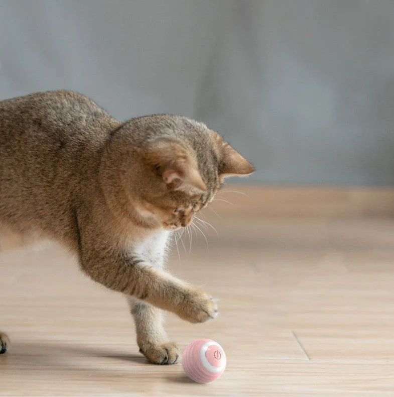 Self-Moving Smart Electric Cat Ball Toy - Image 4