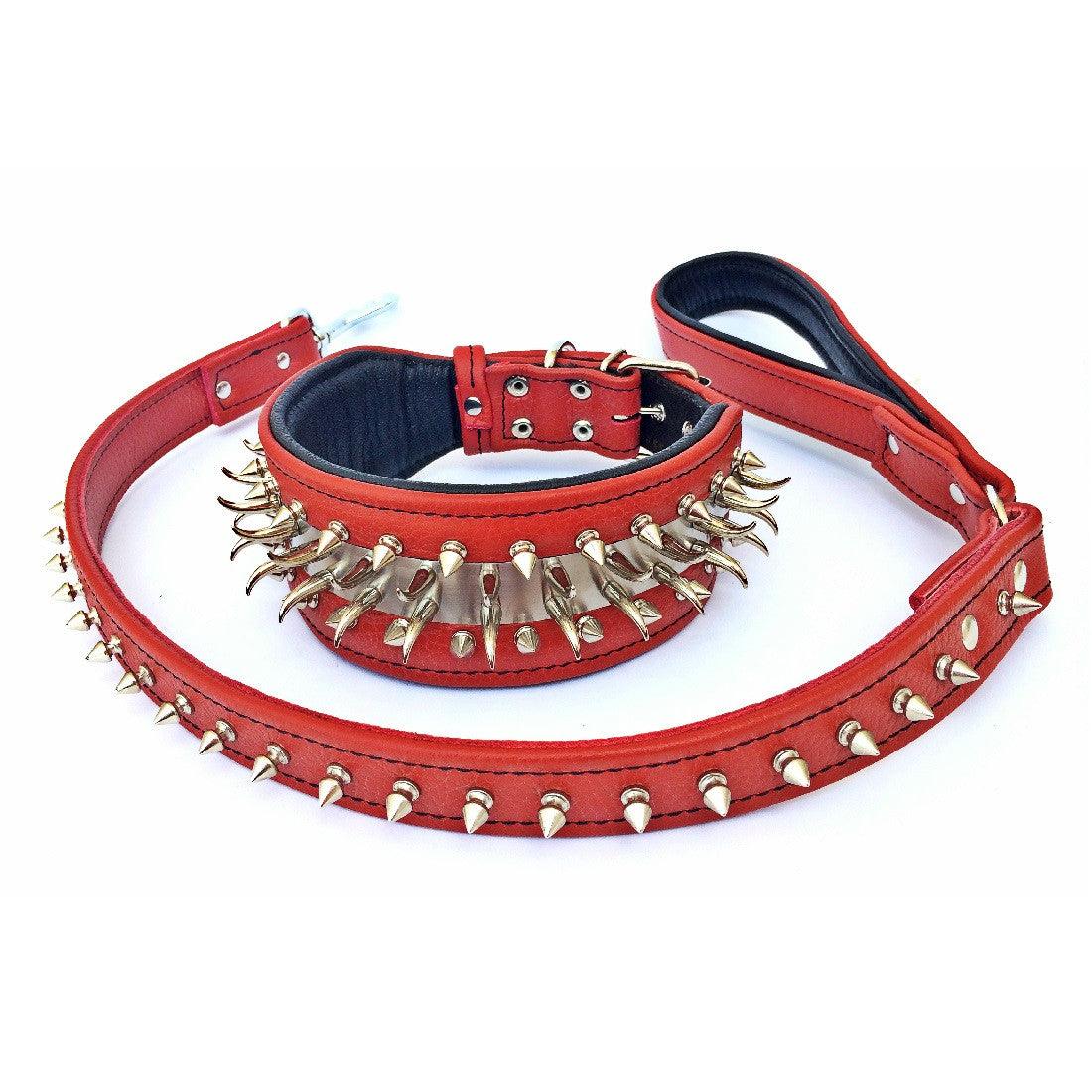 Set collar and leash. spikes & stainless steel, 2.8 inch wide. Made in Europe! - Image 3