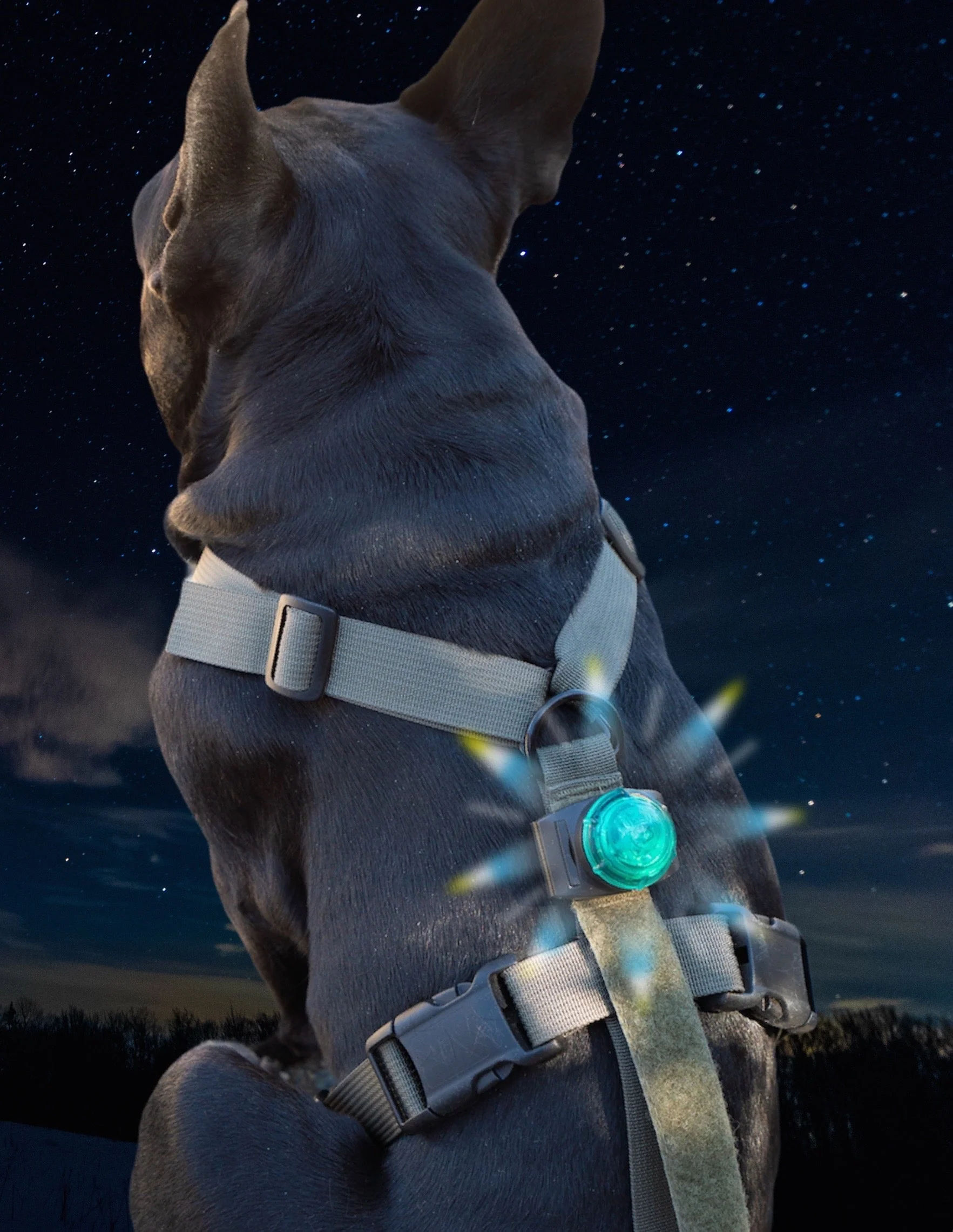 SF1 Clip-on Safety Light - Image 2