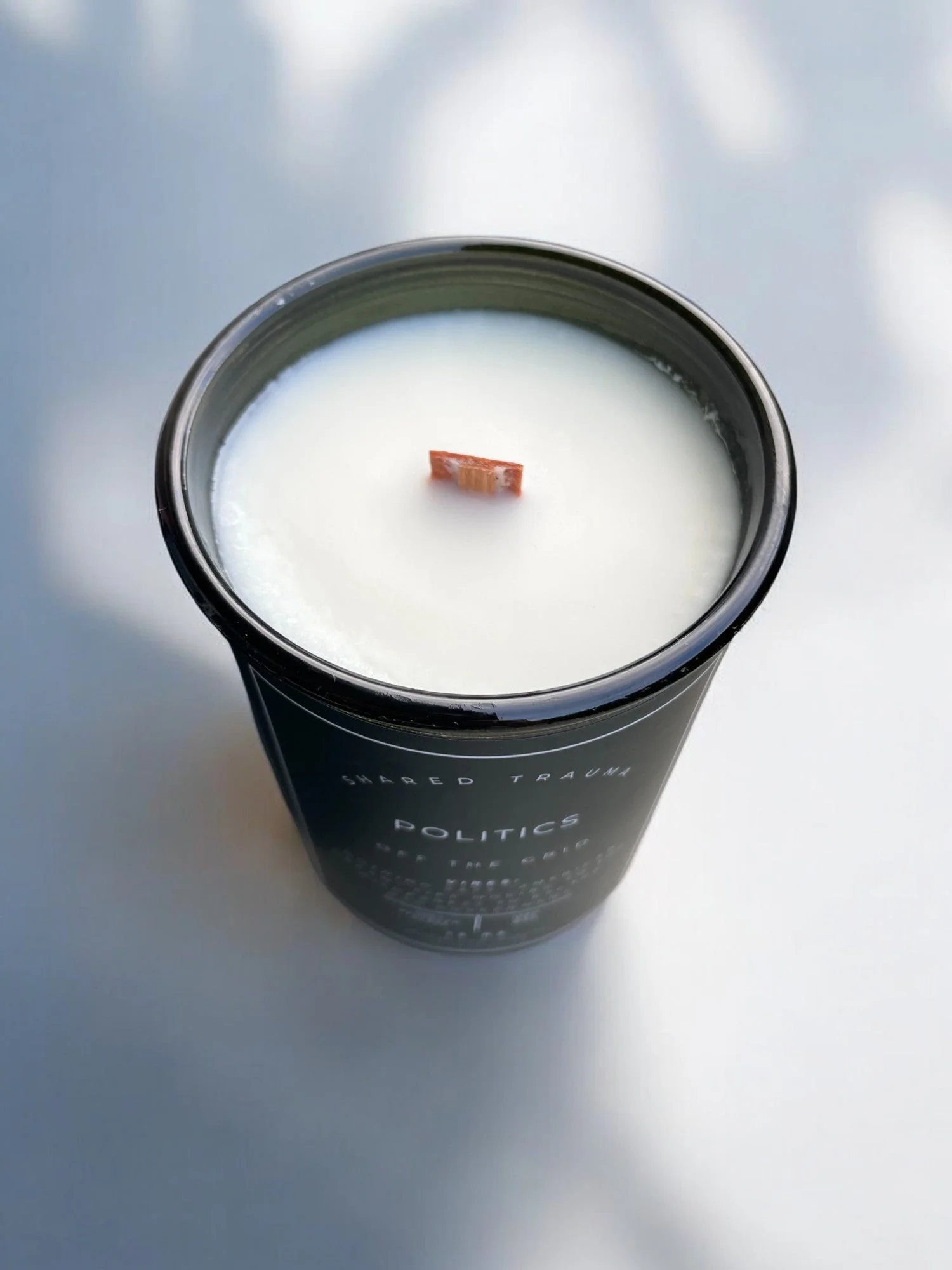 Shared Trauma Candles - Politics - 13 Oz Crackling Wood Wick - Amber Sage & Moss - Image 5