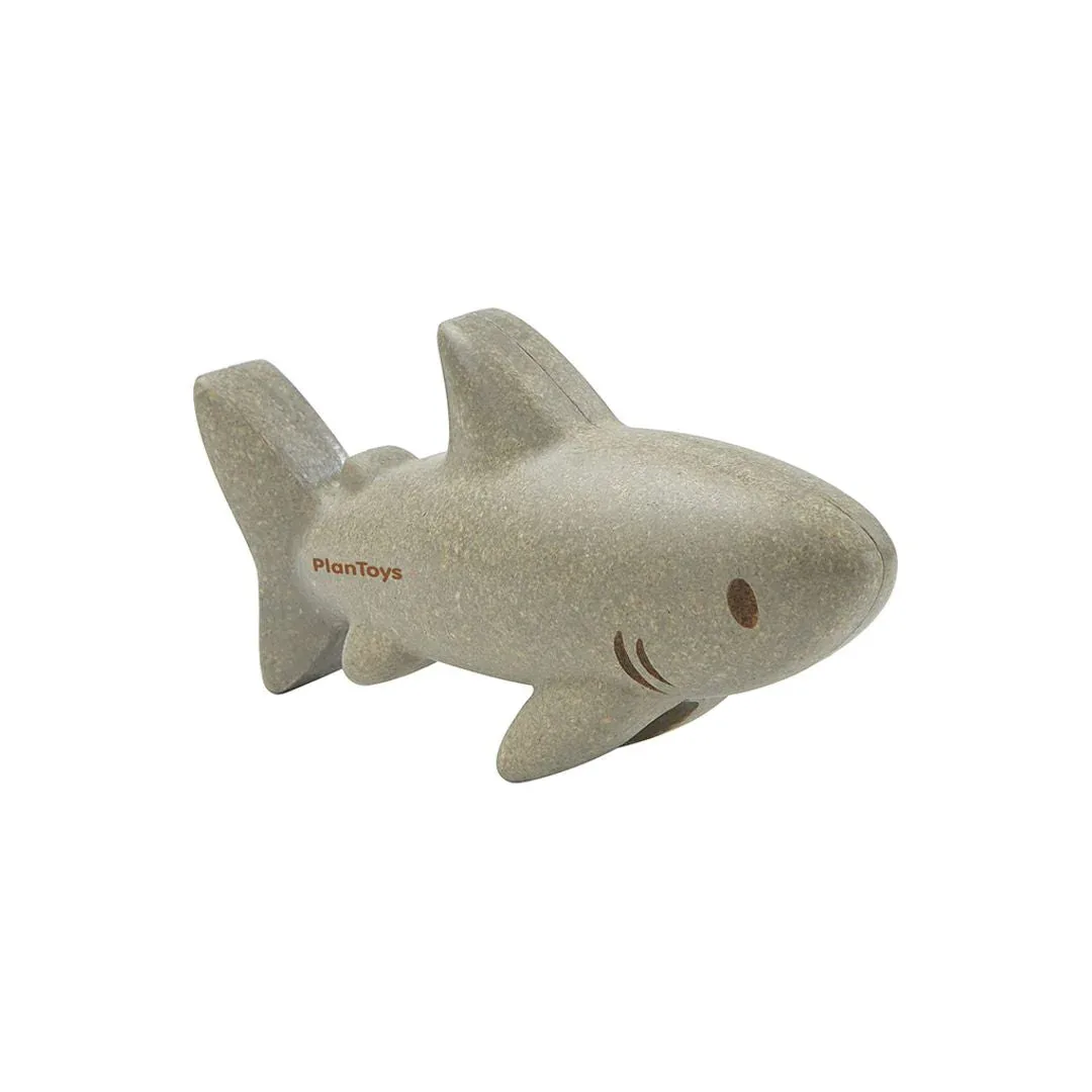 Shark - Image 2
