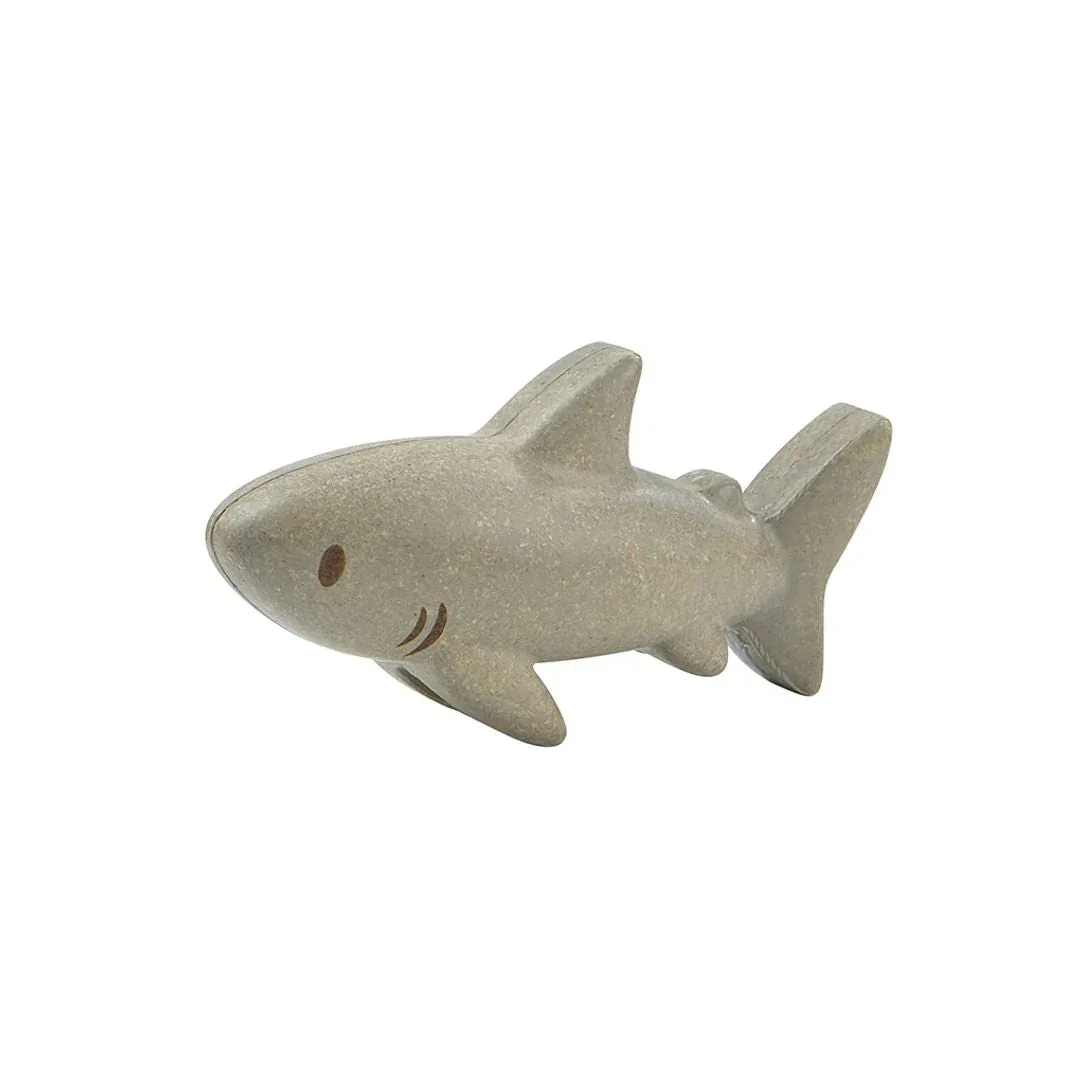 Shark - Image 3