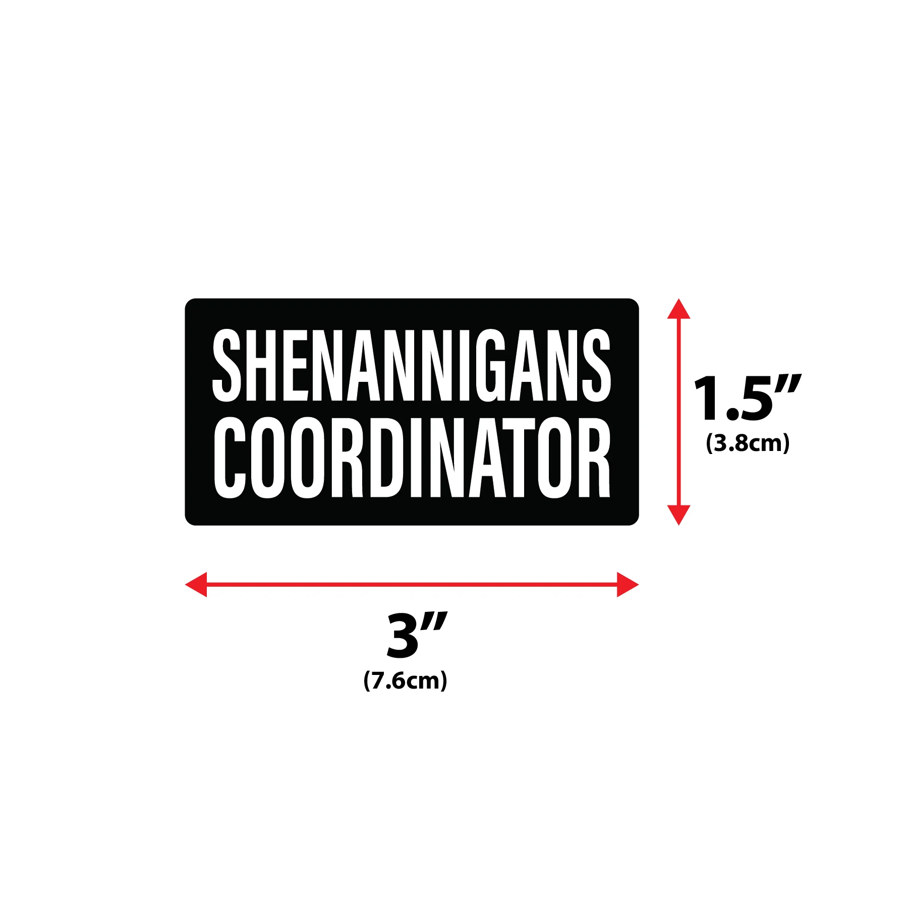 Shenannigans Coordinator  Morale Patch - Image 2