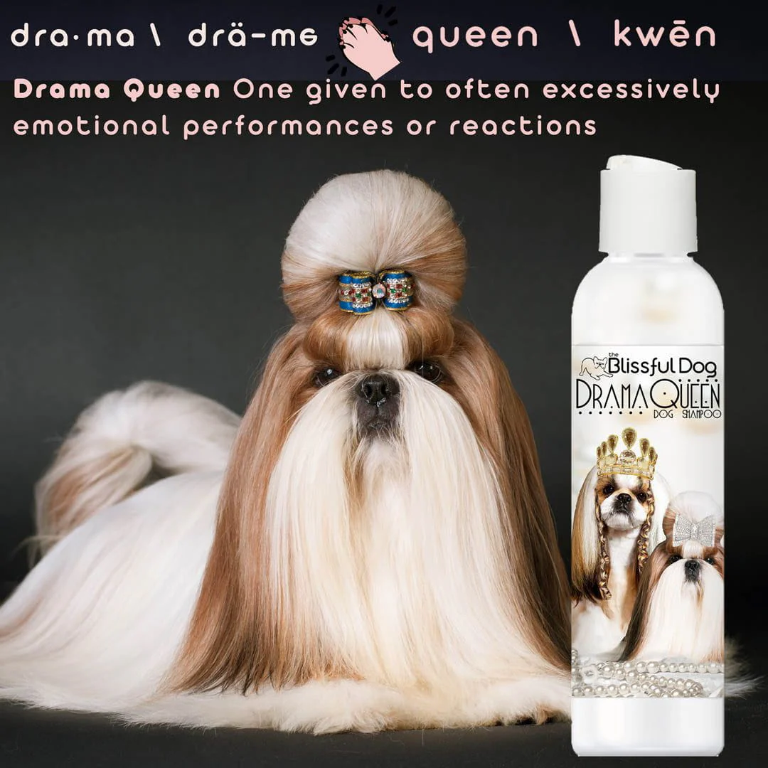 Shih Tzu Rich Bitch & Drama Queen Shampoo - Image 5