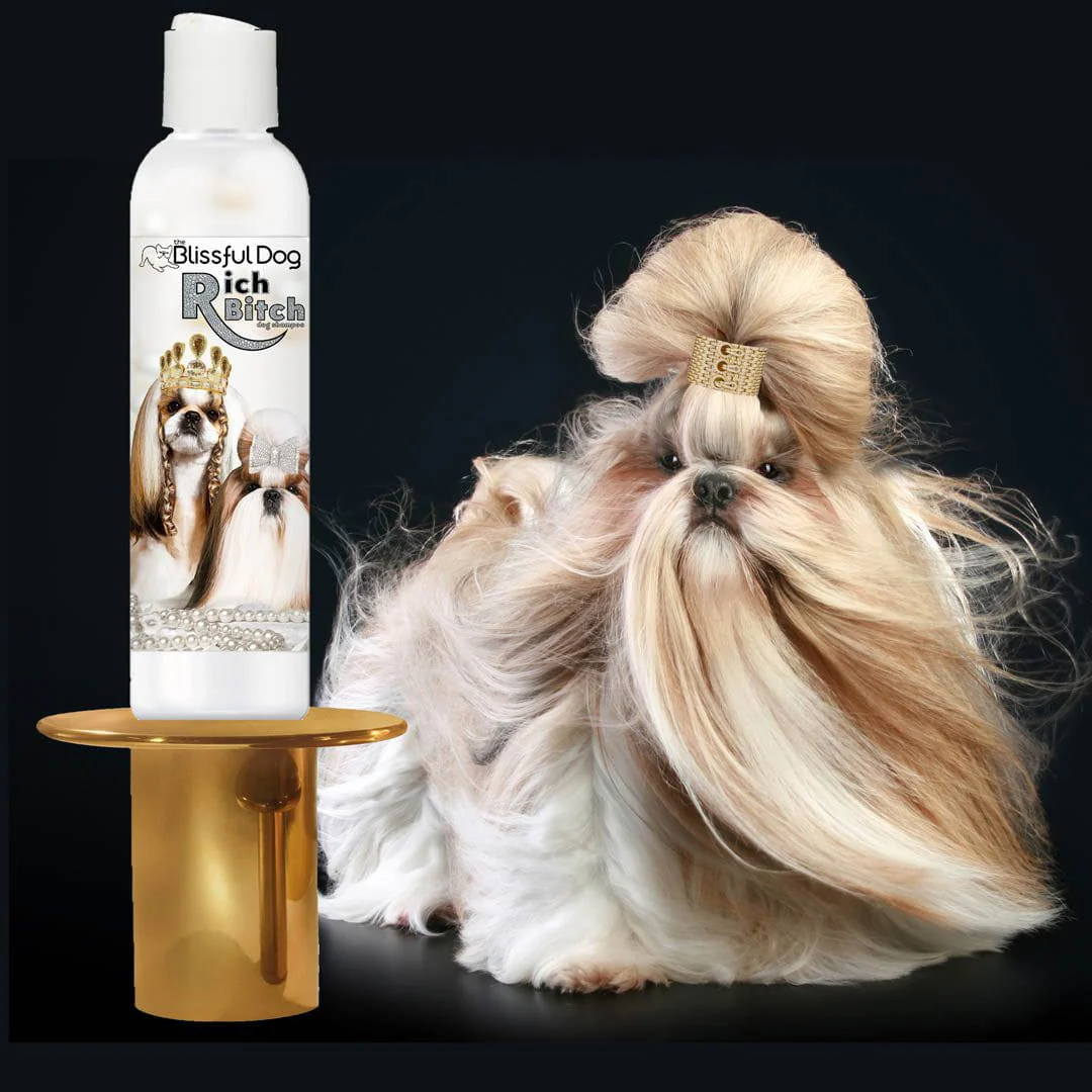 Shih Tzu Rich Bitch & Drama Queen Shampoo - Image 6