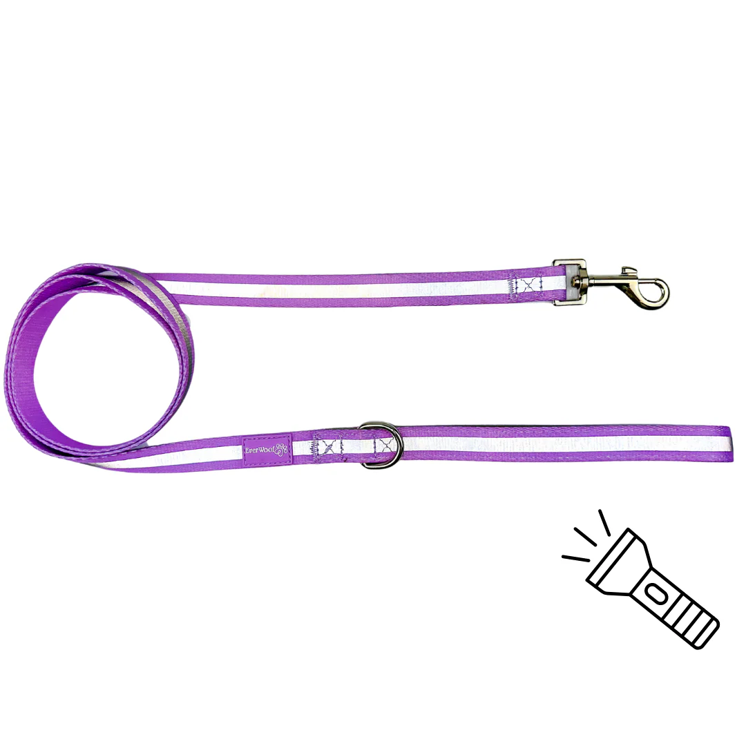 Shine Bright - Amethyst Leash - Image 2