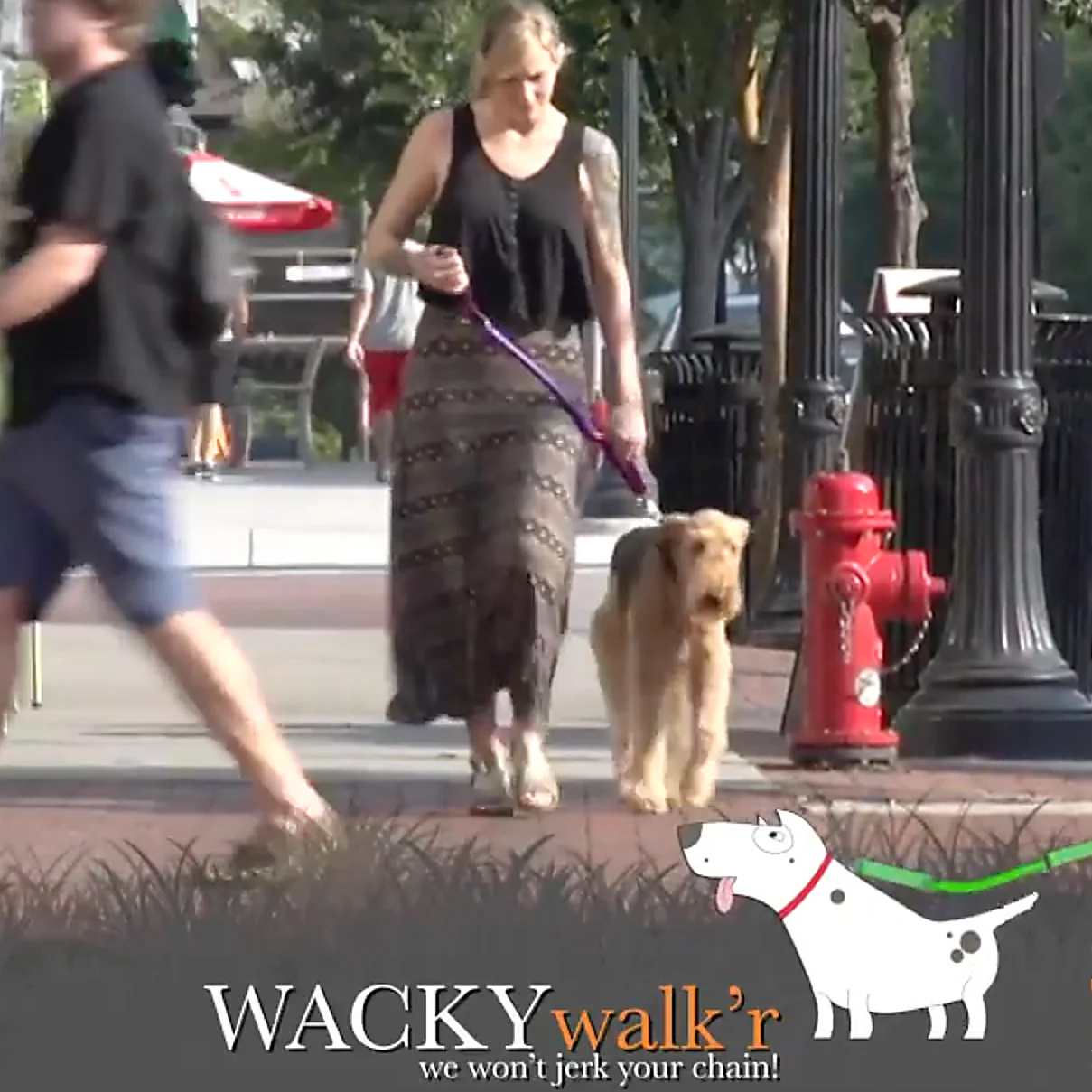 Shorter No Pull Leash - Urban Walk'r - Image 2