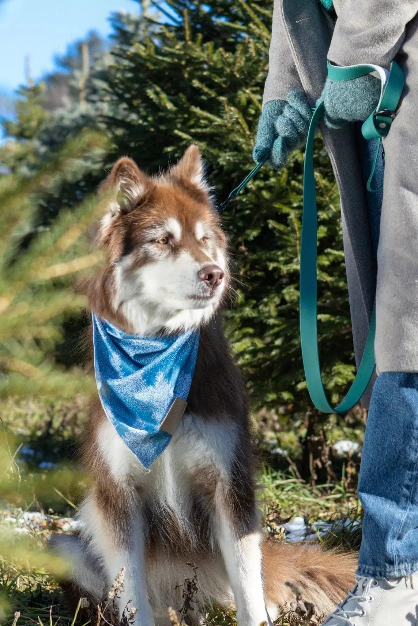Siberian Spruce Dog Bandana - Image 3