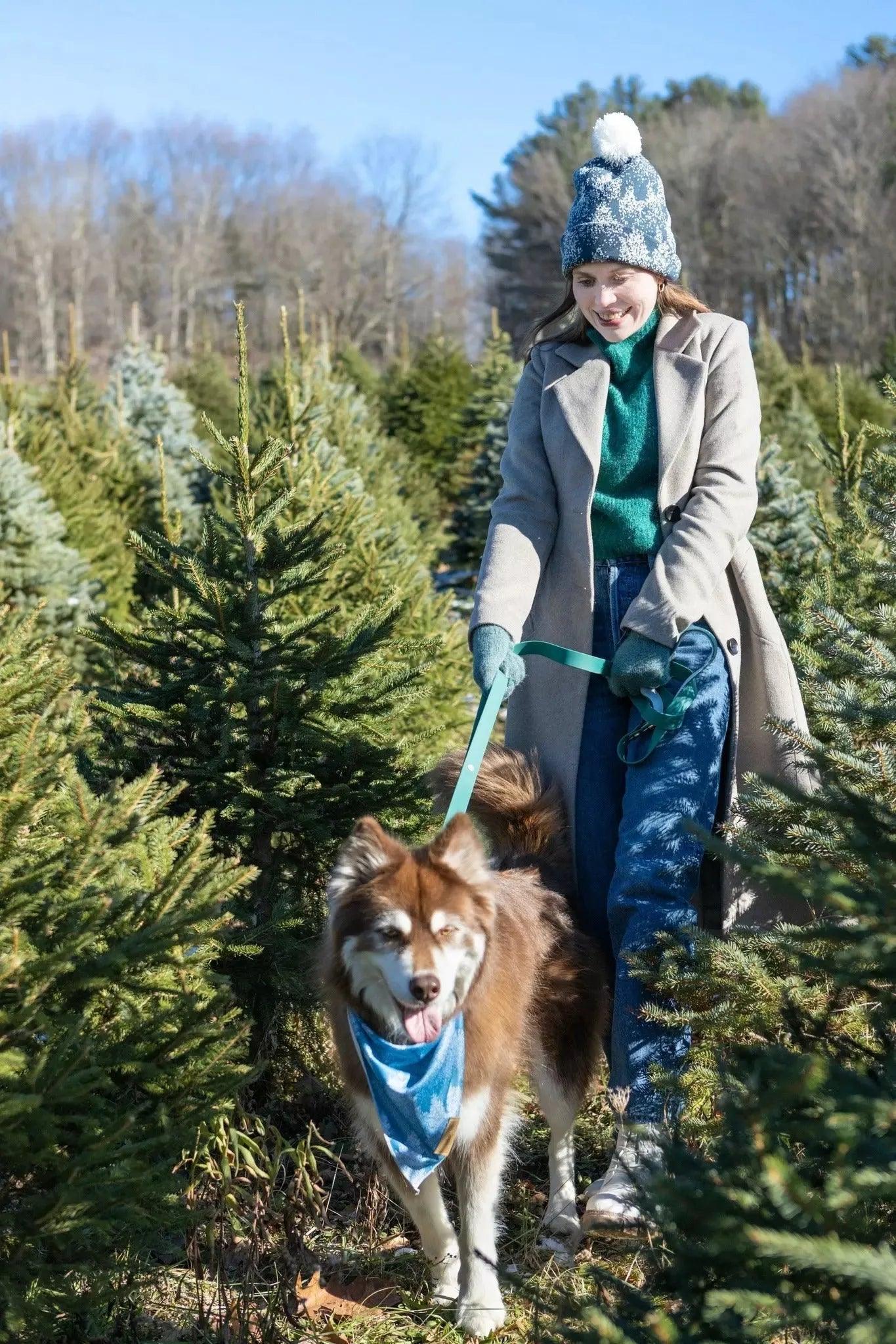 Siberian Spruce Dog Bandana - Image 4