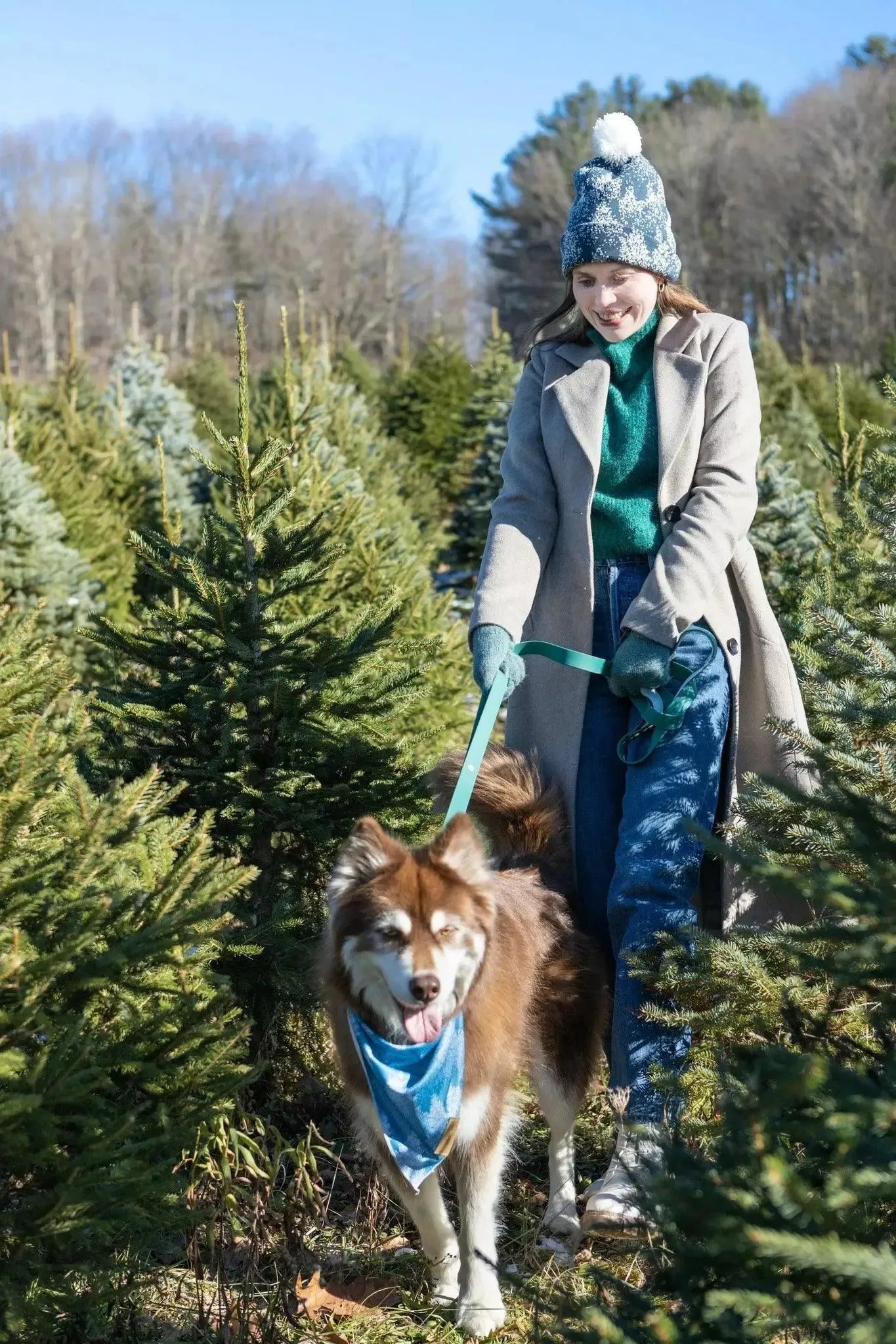 Siberian Spruce Dog Bandana & Matching Keychain - Image 6