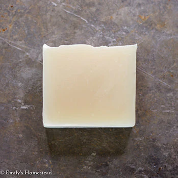Silk & Protein Shampoo - Image 2