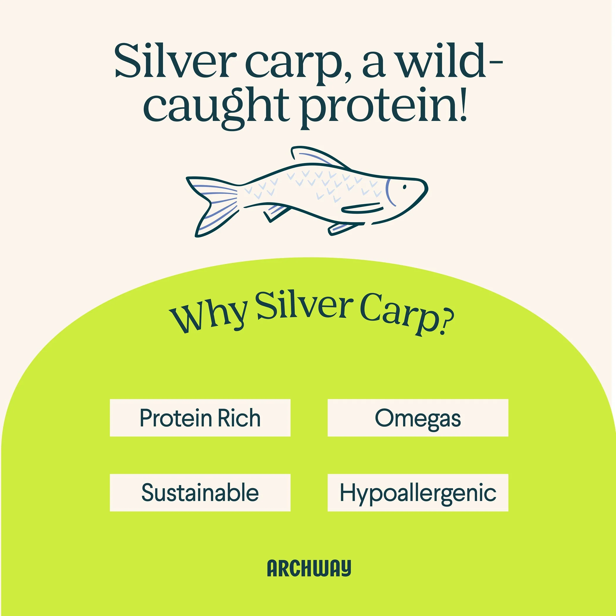 Silver Carp and Sweet Potato Biscuit - Image 3