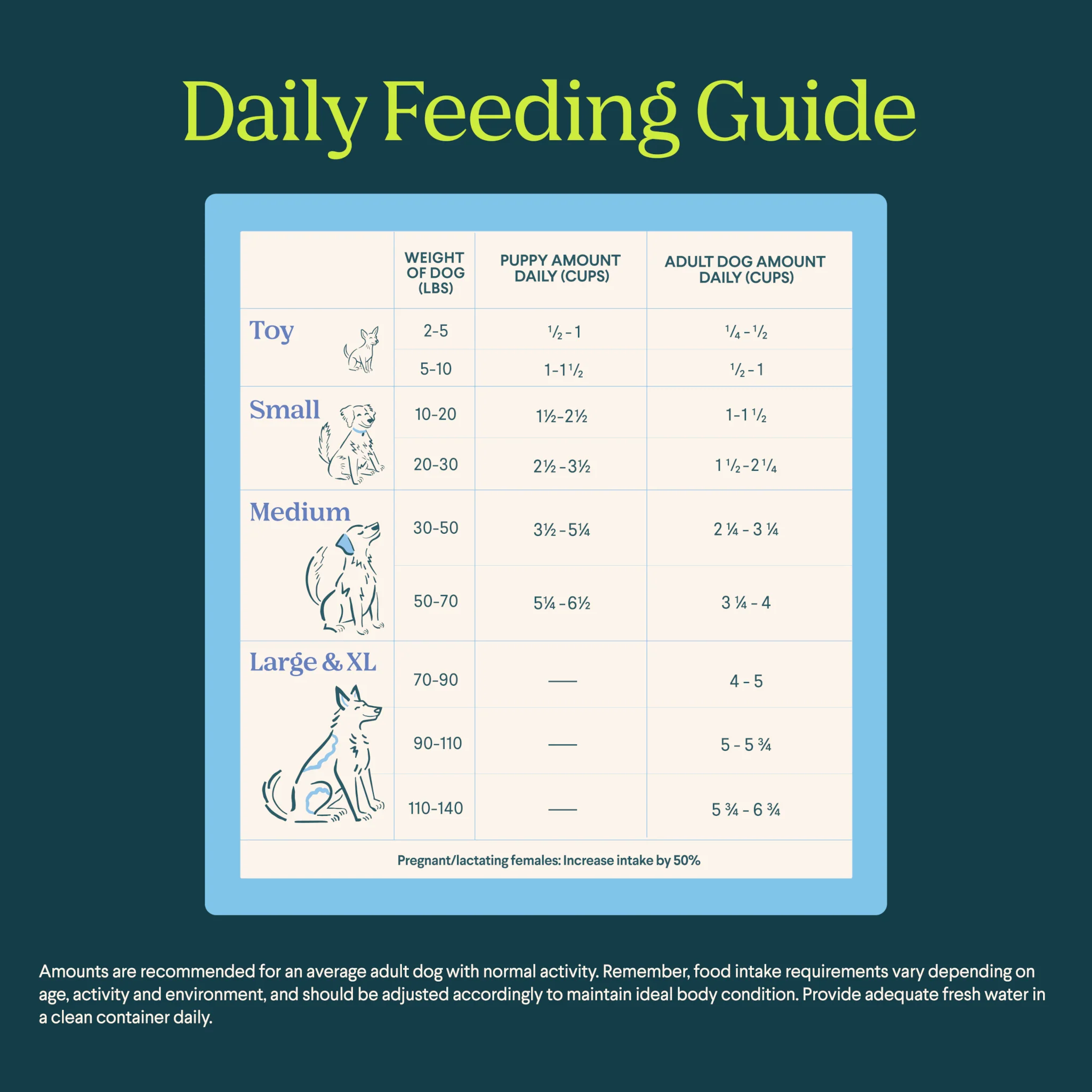 Silver Carp Dog Food - Image 2