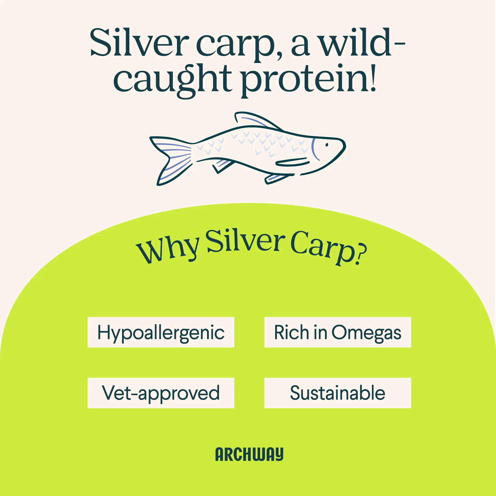 Silver Carp Dog Food - Image 3