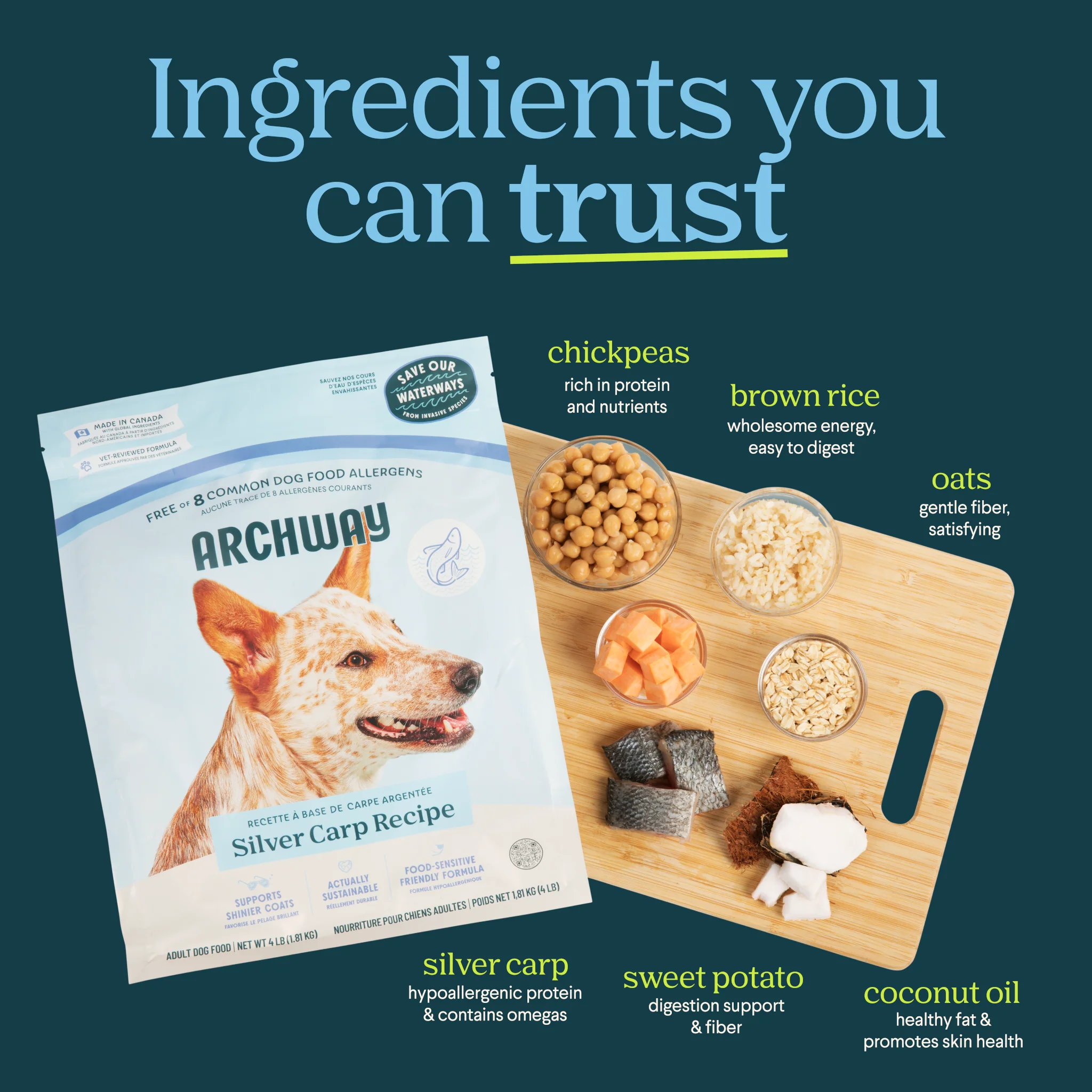 Silver Carp Dog Food - Image 6