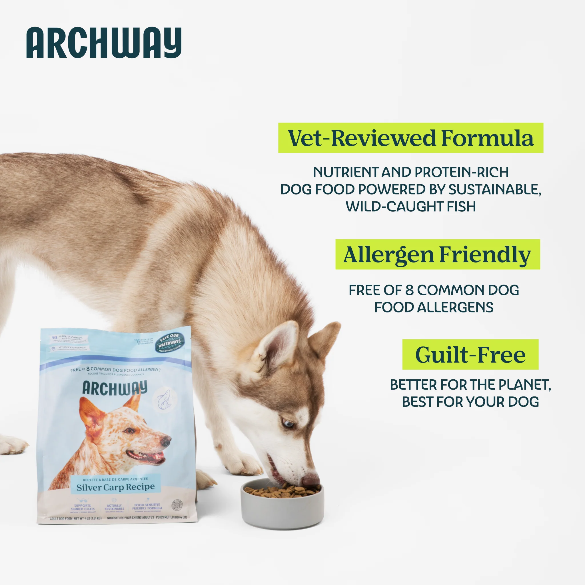 Silver Carp Dog Food - Image 7