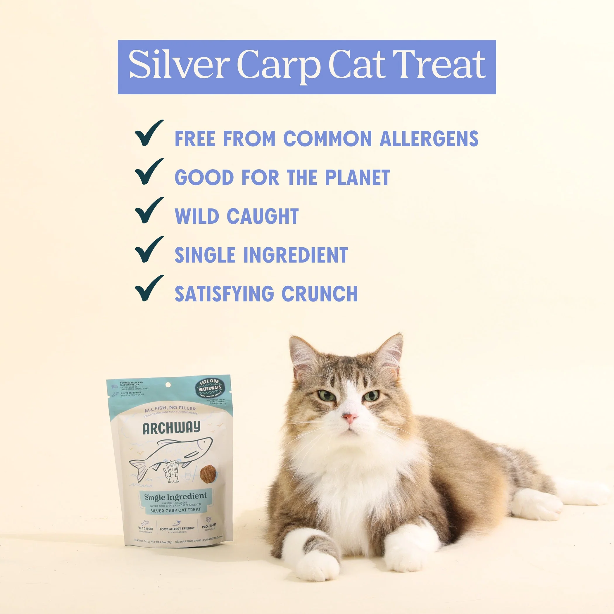 Silver Carp For Cats - Image 2