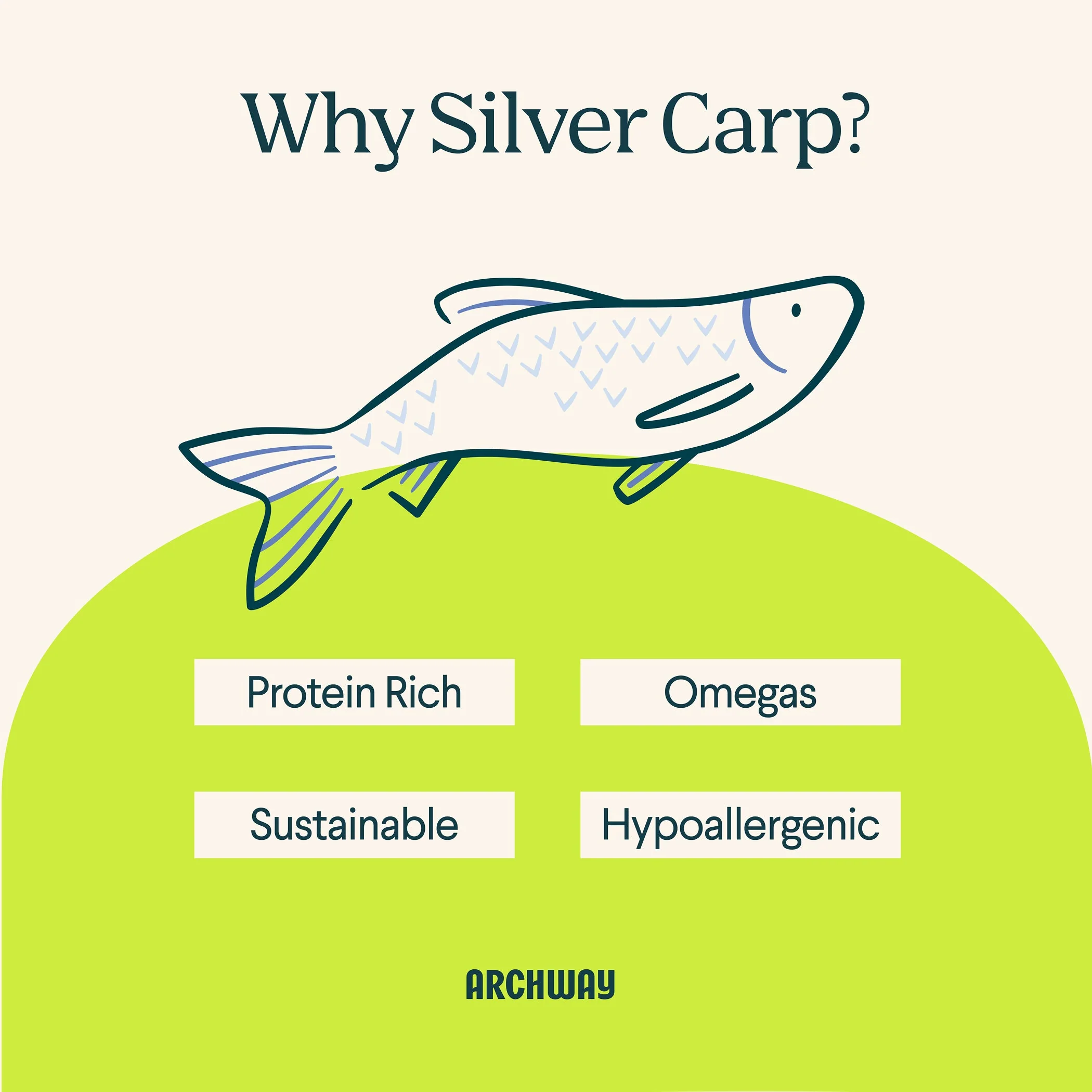 Silver Carp For Dogs - Image 3