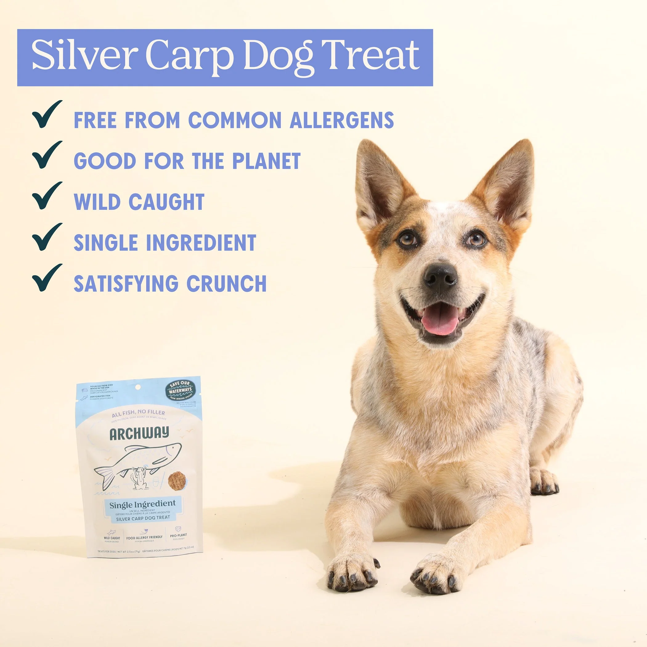 Silver Carp For Dogs - Image 8