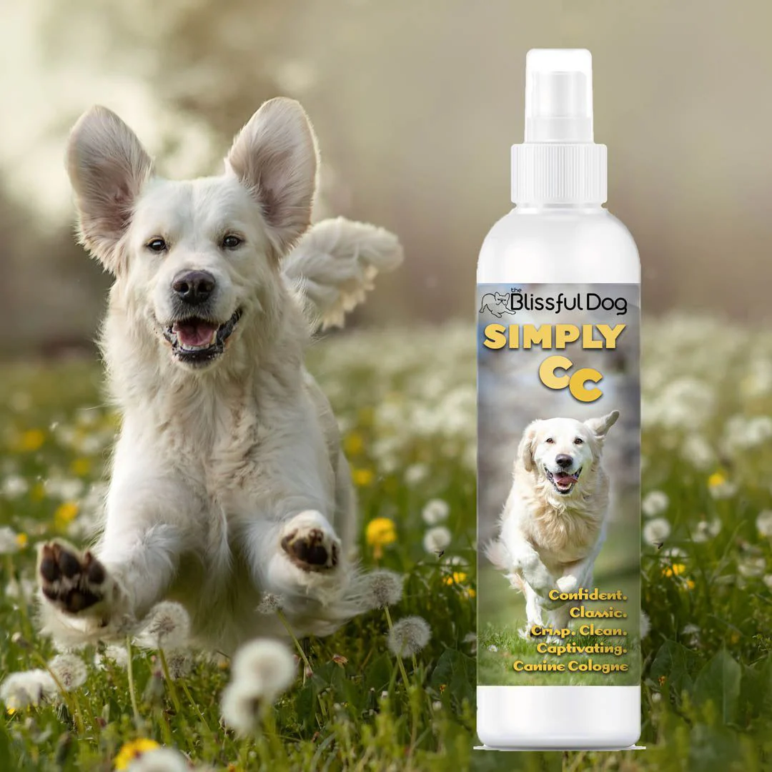 Simply CC Dog Cologne for the Classically Confident Canine - Image 2