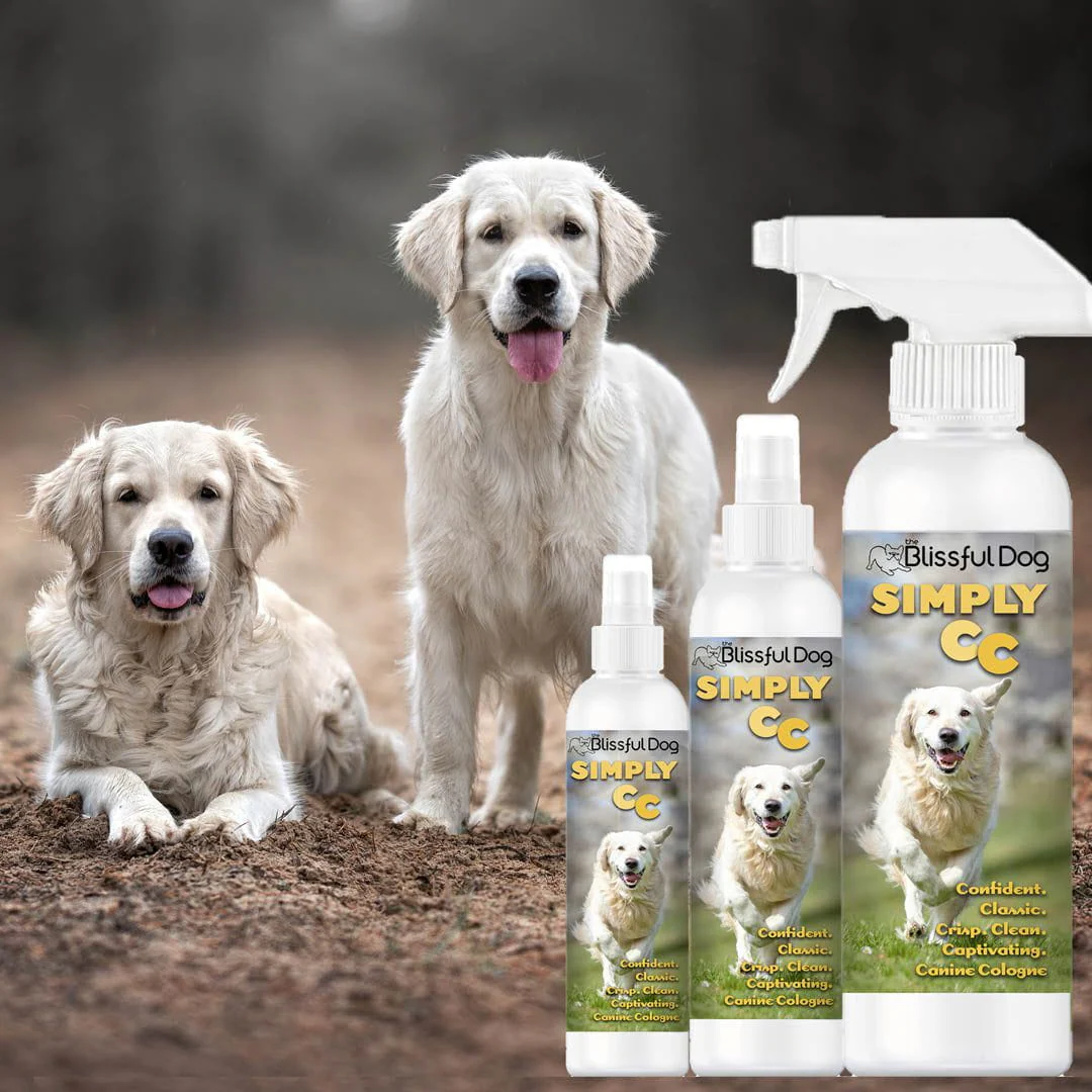 Simply CC Dog Cologne for the Classically Confident Canine - Image 3