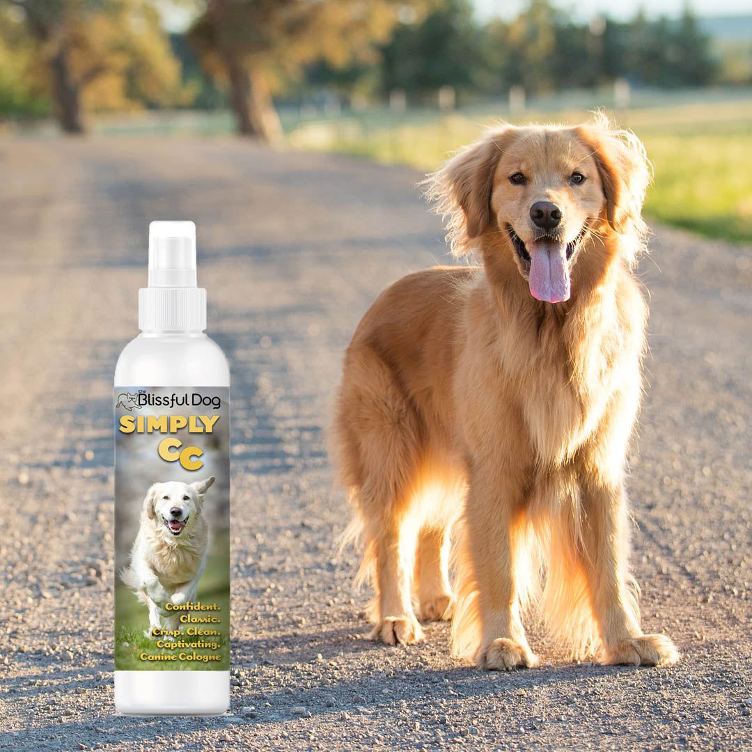 Simply CC Dog Cologne for the Classically Confident Canine - Image 4