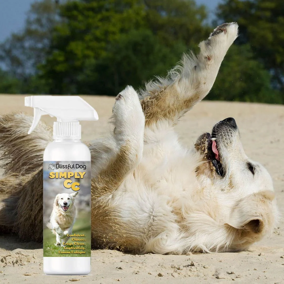 Simply CC Dog Cologne for the Classically Confident Canine - Image 5