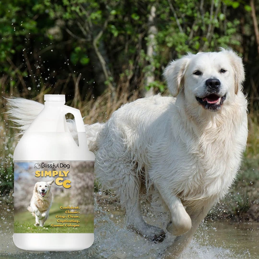 Simply CC Dog Cologne for the Classically Confident Canine - Image 6