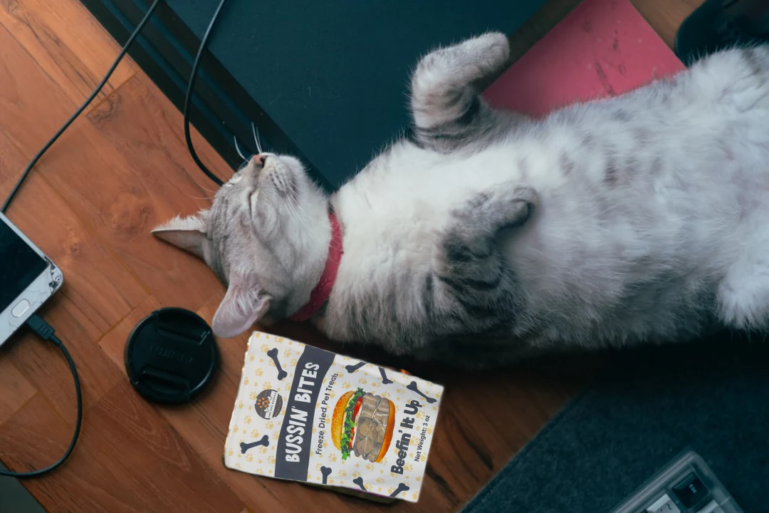 Single Ingredient, High Value Freeze-Dried Training Treats for Dogs & Cats - Beef Liver - Image 3