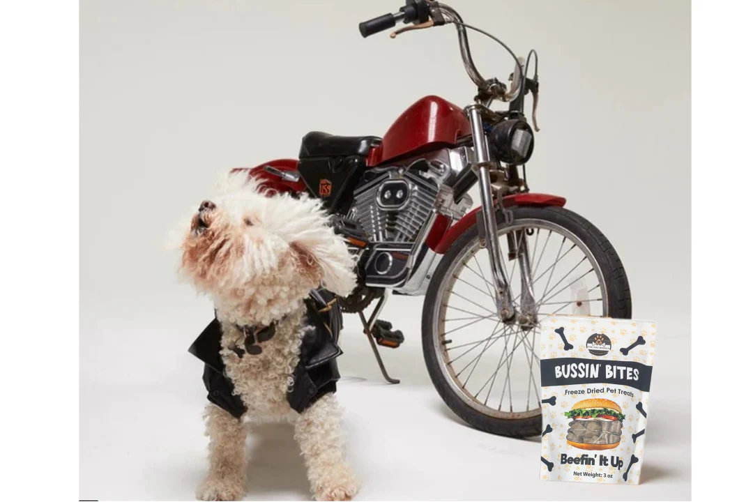 Single Ingredient, High Value Freeze-Dried Training Treats for Dogs & Cats - Beef Liver - Image 5