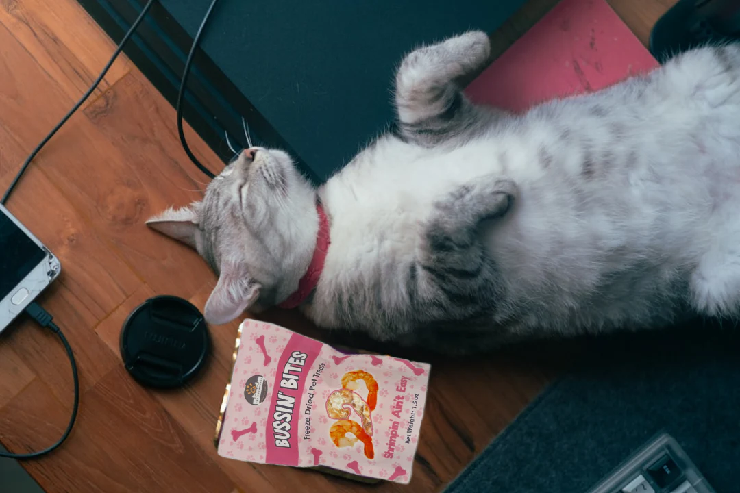 Single Ingredient, High Value Freeze-Dried Training Treats for Dogs & Cats - Shrimp - Image 5