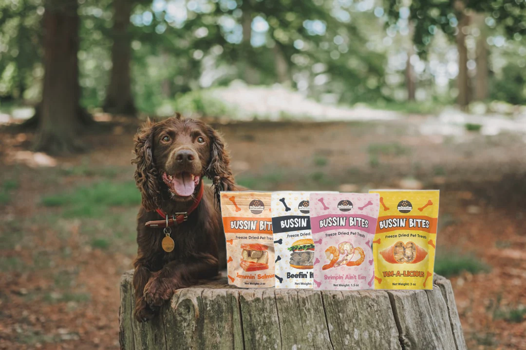 Single Ingredient, High Value Freeze-Dried Training Treats for Dogs & Cats - Shrimp - Image 6