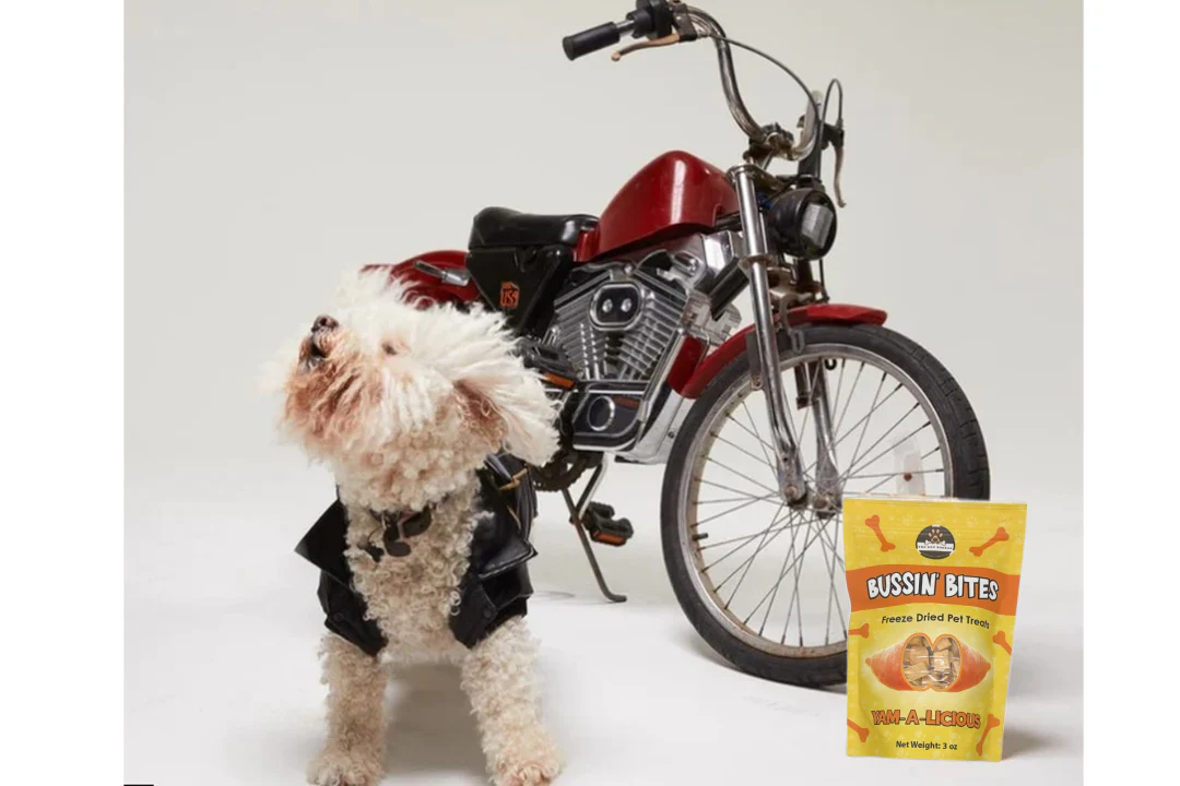 Single Ingredient, High Value Freeze-Dried Training Treats for Dogs & Cats - Sweet Potato - Image 5