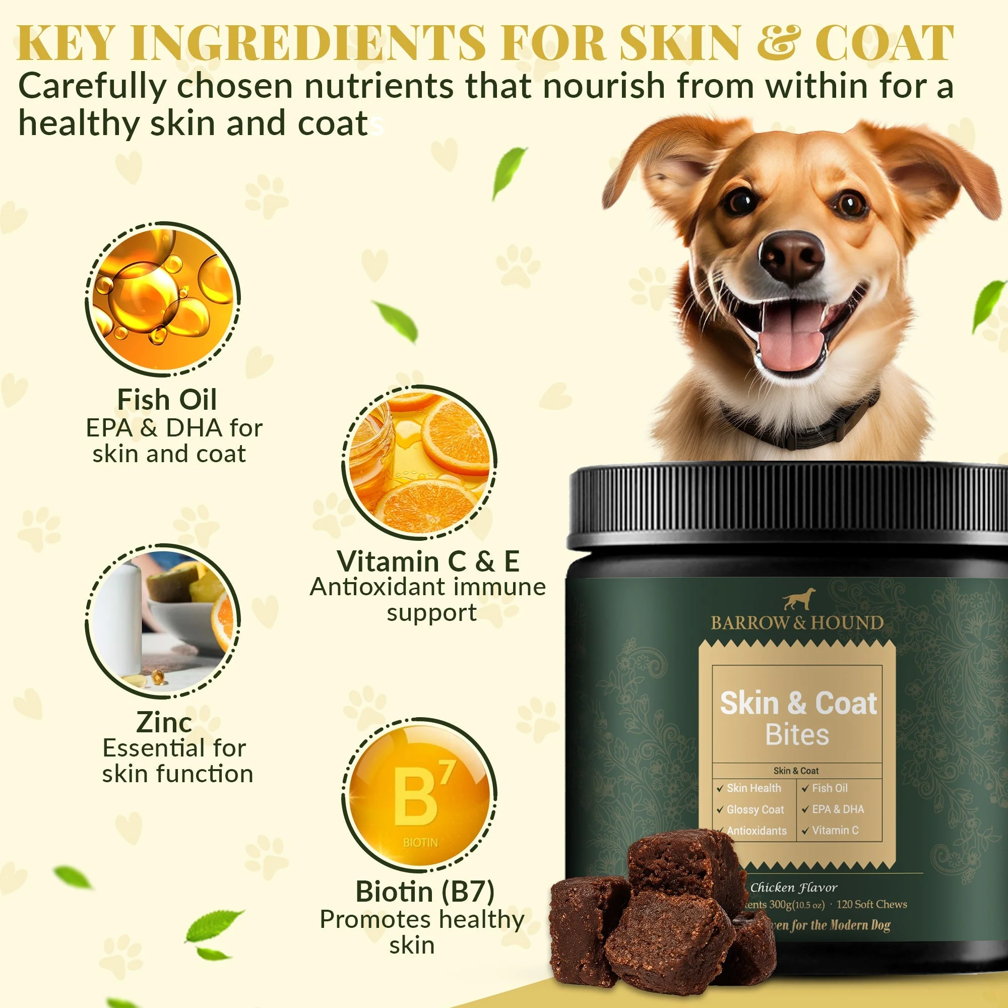Skin & Coat Bites for Dogs – Shine, Strength & Allergy Relief - Image 3