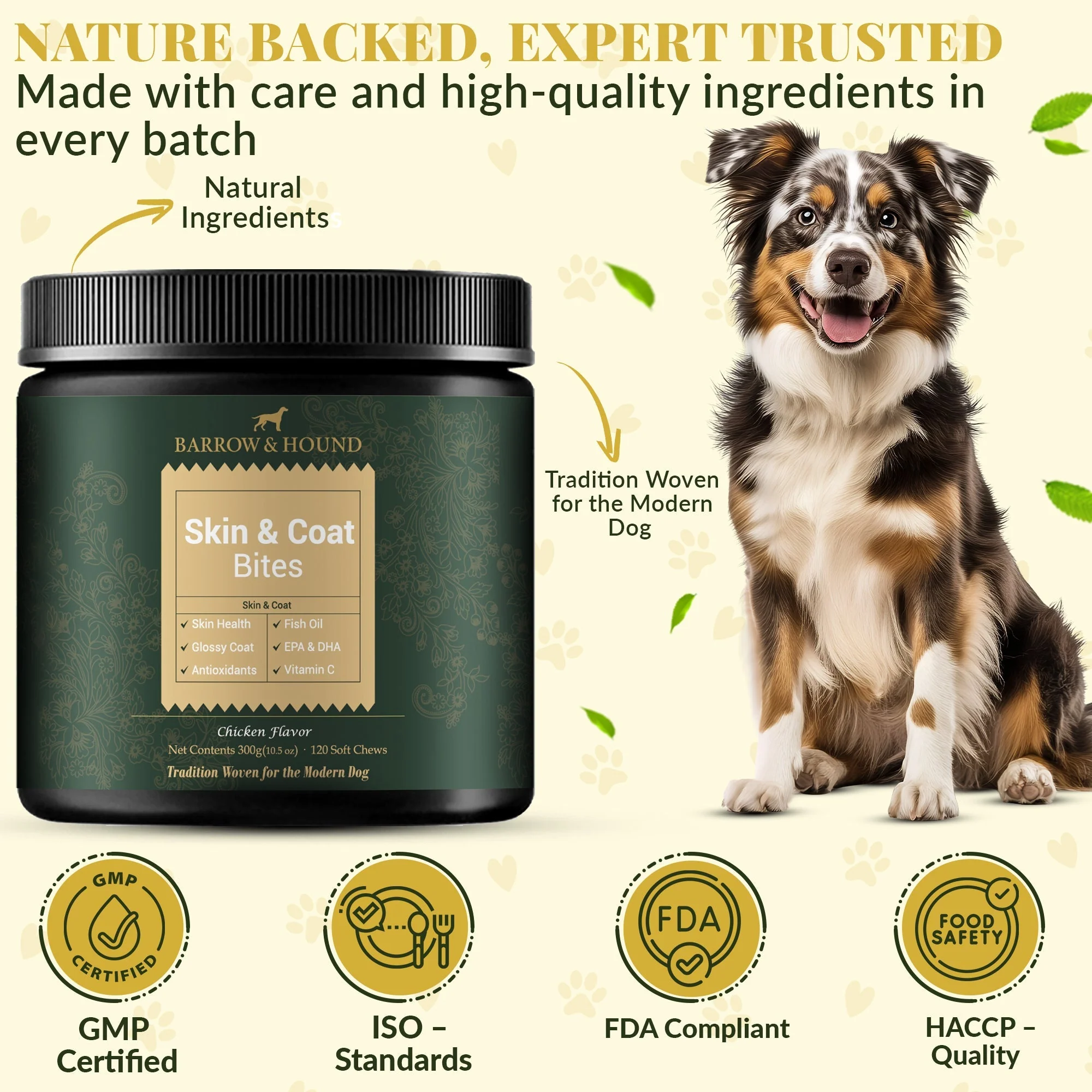 Skin & Coat Bites for Dogs – Shine, Strength & Allergy Relief - Image 5