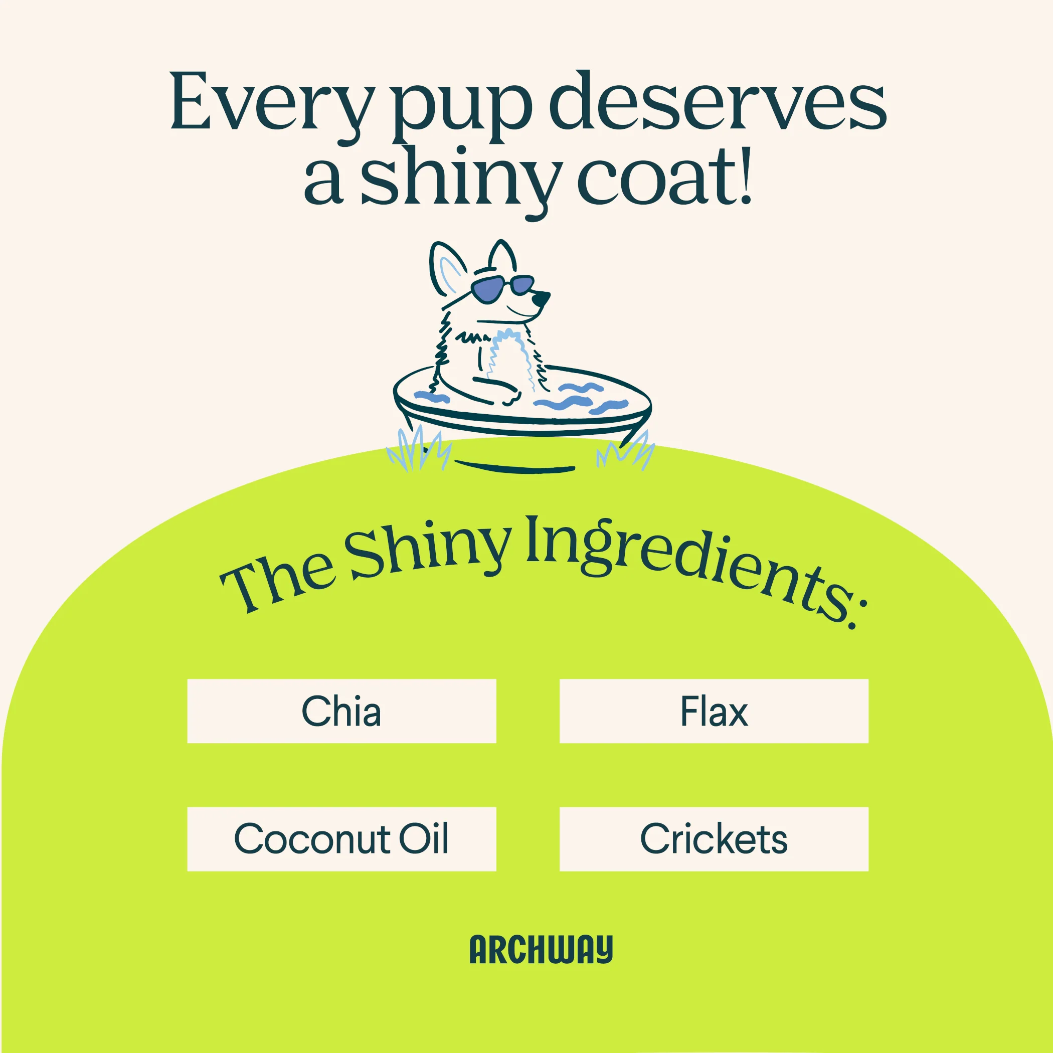 Skin & Coat Health - Image 3