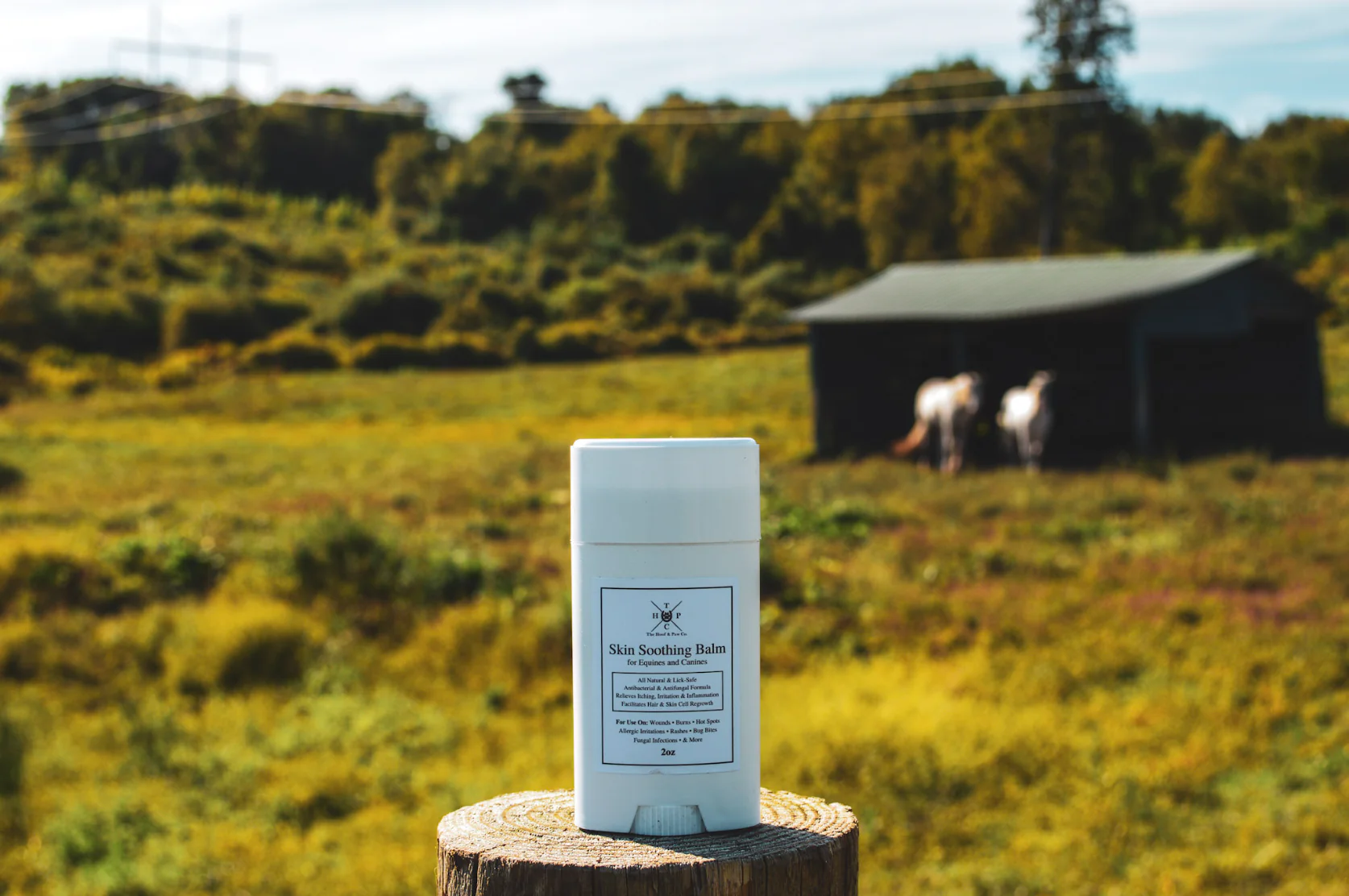 Skin Soothing Balm for Dogs & Horses - 2oz - Image 4