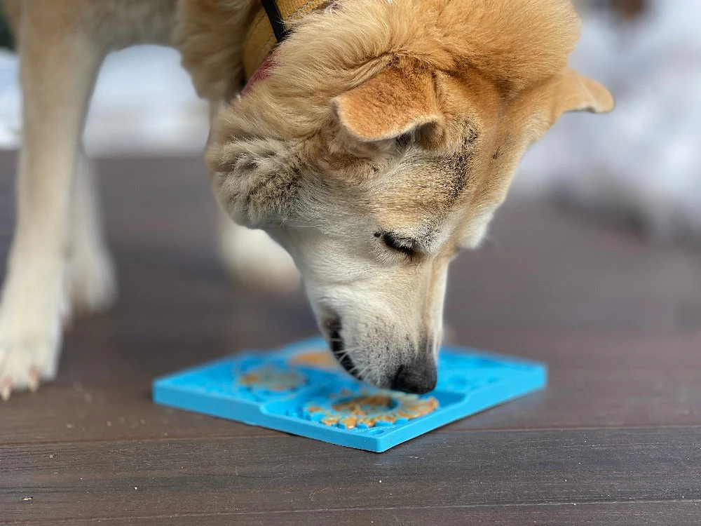 Sky eMat - Enrichment Lick Mat for Dogs and Cats | Celestial Design | SodaPup - Image 9