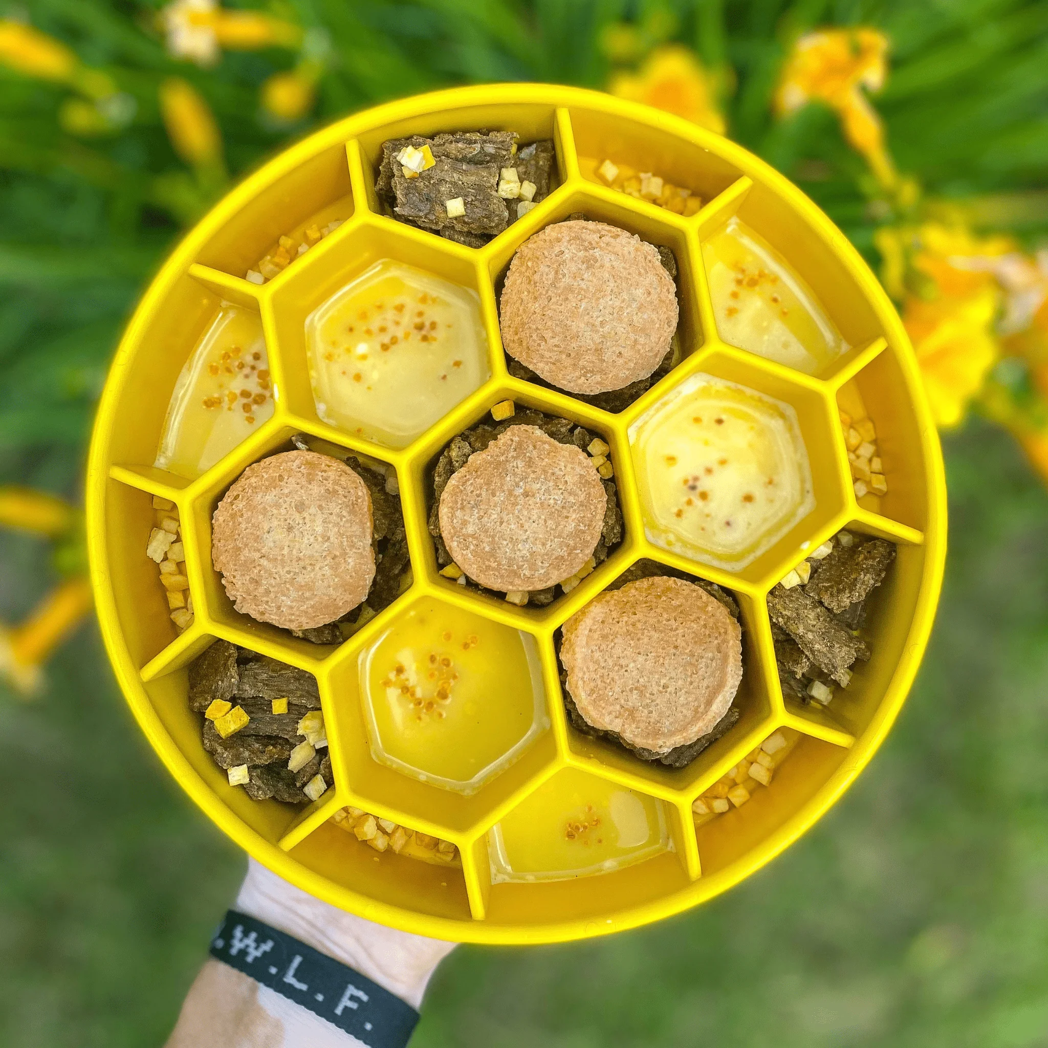 Slow Feeder Dog Bowls - Image 11