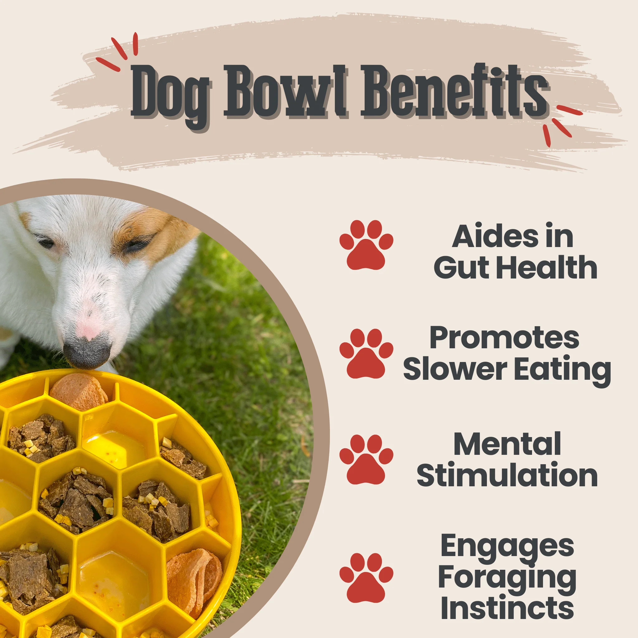 Slow Feeder Dog Bowls - Image 12