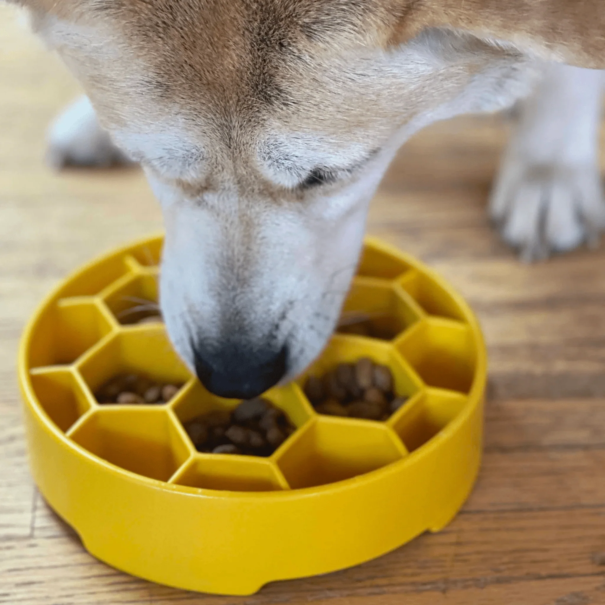 Slow Feeder Dog Bowls - Image 15