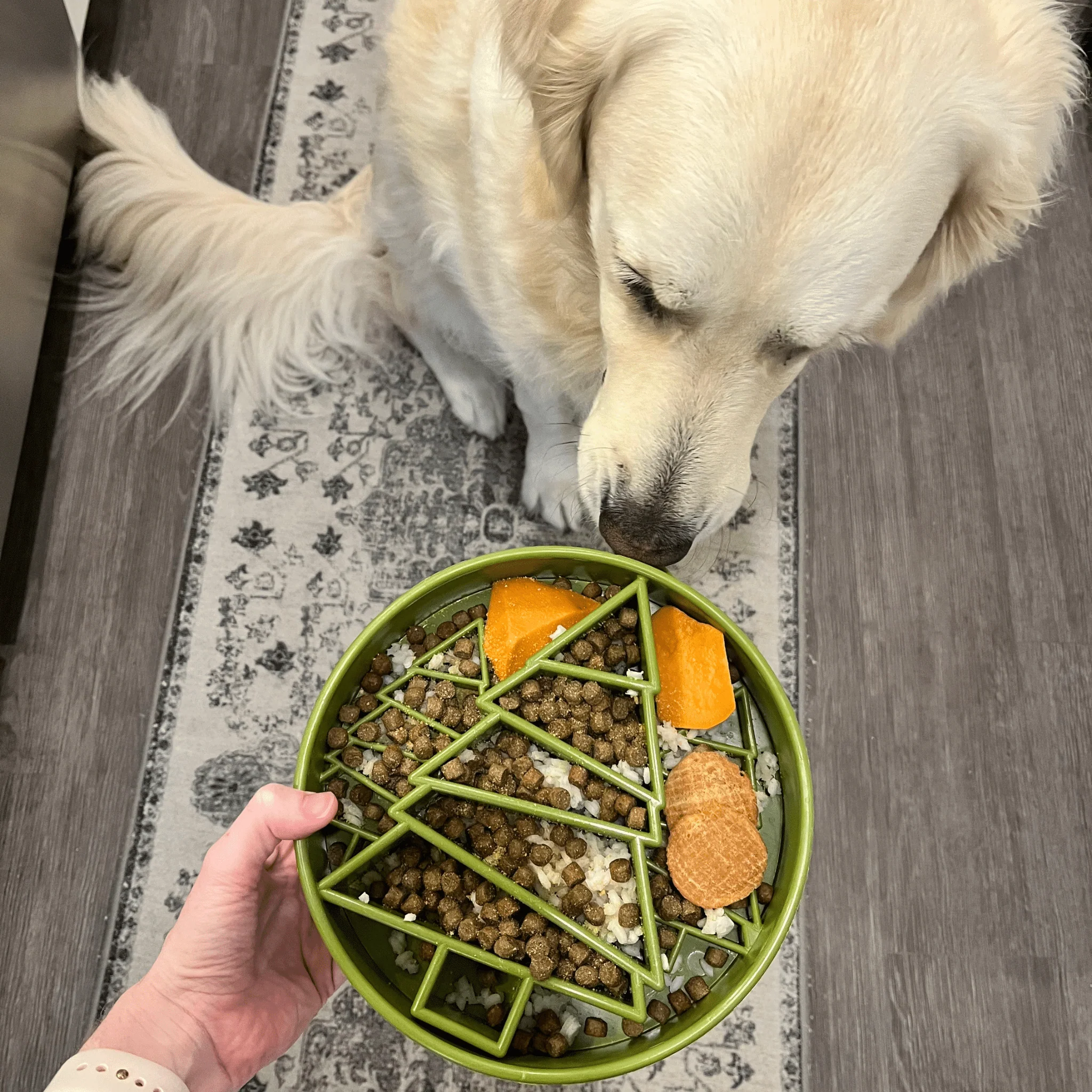 Slow Feeder Dog Bowls - Image 26