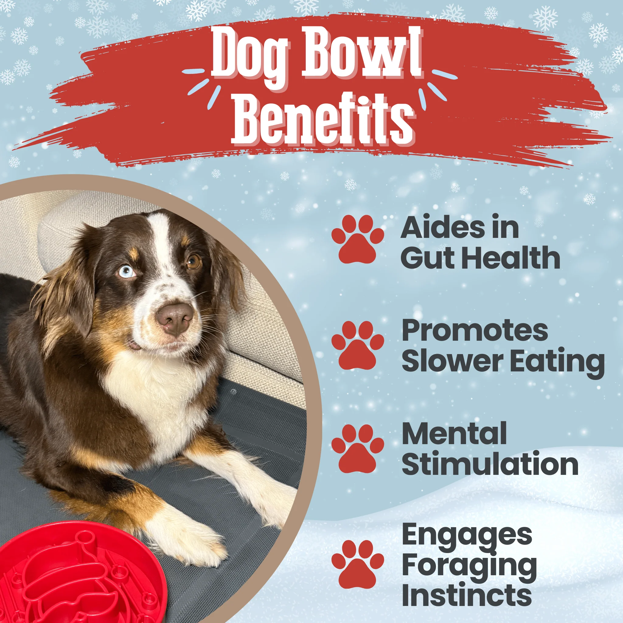 Slow Feeder Dog Bowls - Image 4