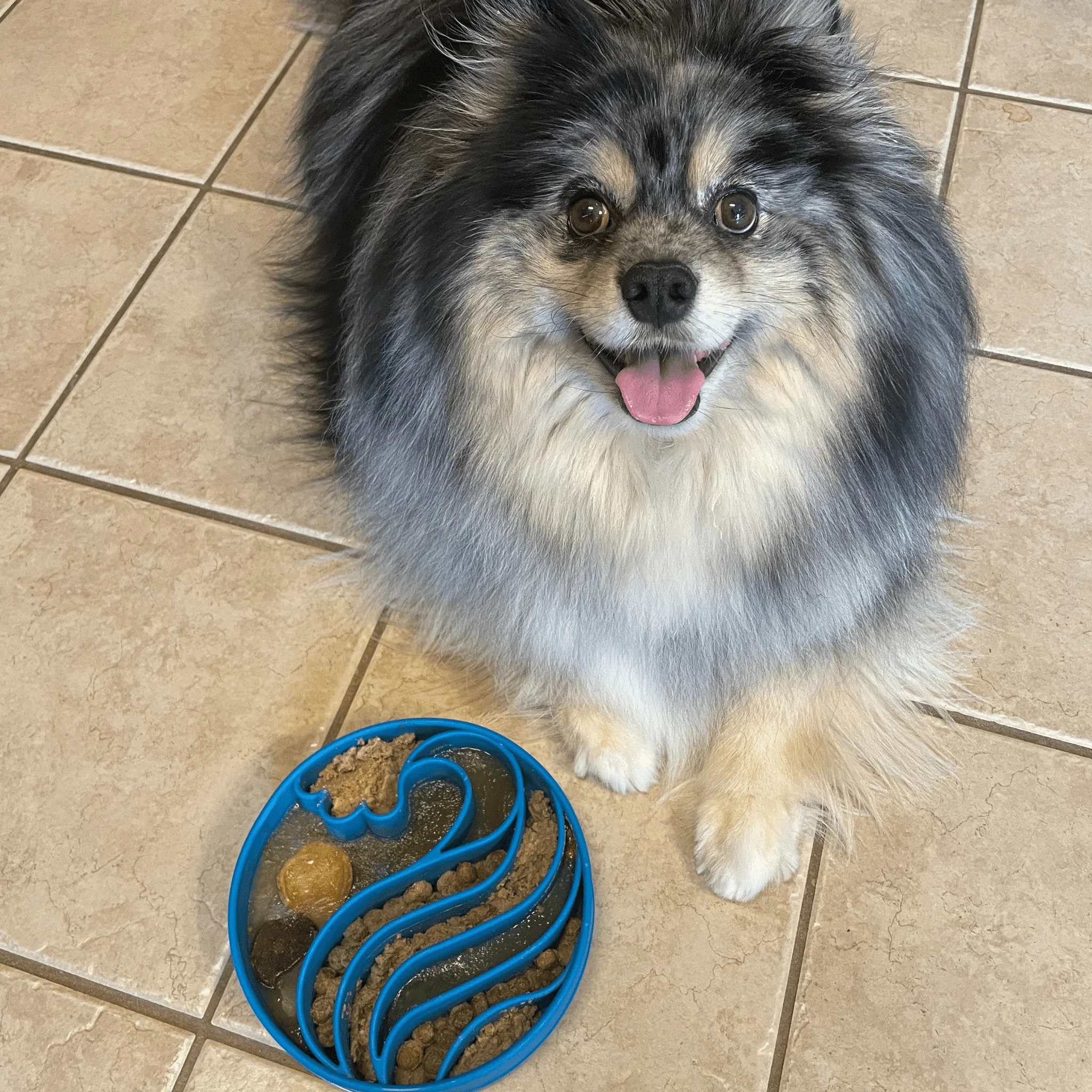 Slow Feeder Dog Bowls - Image 8